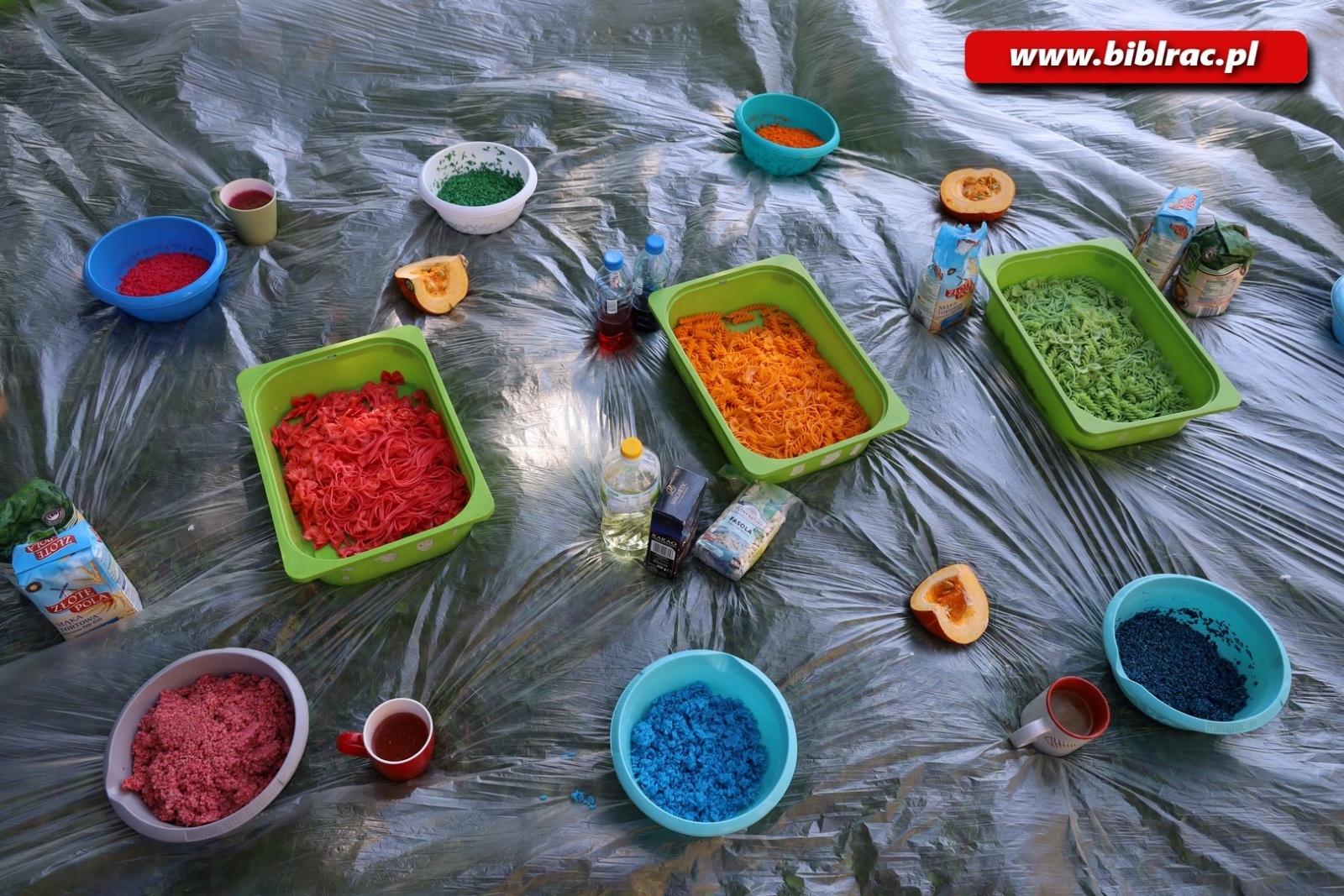 Zdjęcie w galerii na portalu naszraciborz.pl: Biblioteka hybrydowa - bibliotekarze rozwijają zawodowe kompetencje wiadomości z regionu