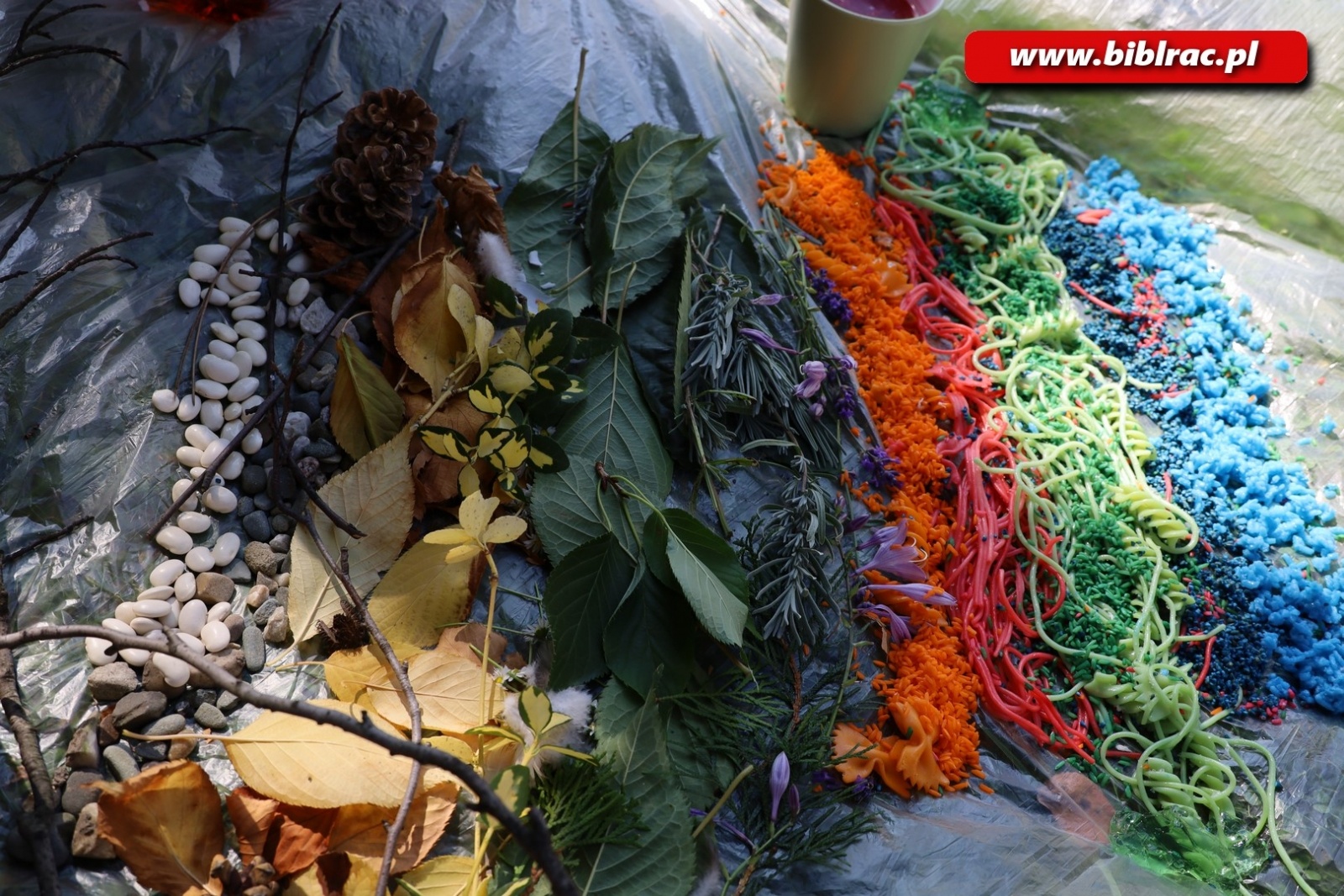 Zdjęcie w galerii na portalu naszraciborz.pl: Biblioteka hybrydowa - bibliotekarze rozwijają zawodowe kompetencje wiadomości z regionu