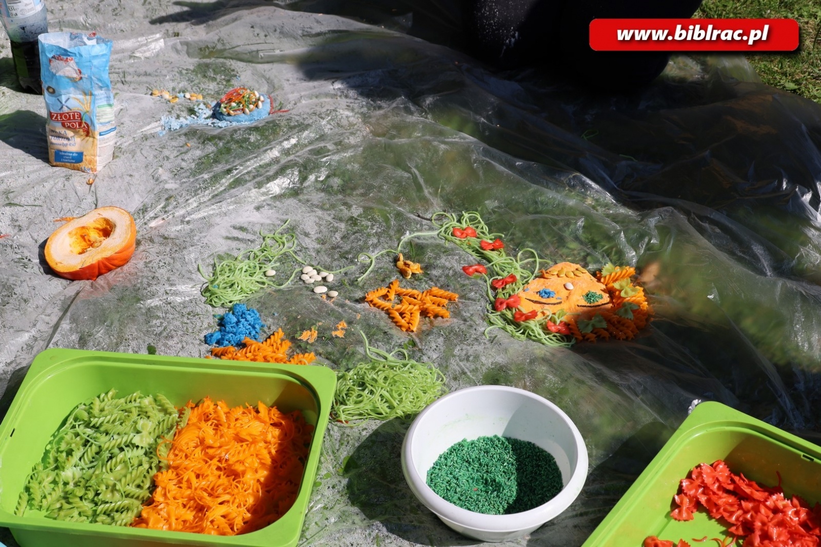 Zdjęcie w galerii na portalu naszraciborz.pl: Biblioteka hybrydowa - bibliotekarze rozwijają zawodowe kompetencje wiadomości z regionu