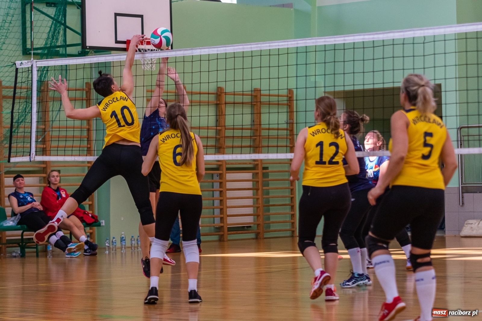 Zdjęcie w galerii na portalu naszraciborz.pl: Świt Wrocław zdeklasował rywalki [FOTO] wiadomości z regionu