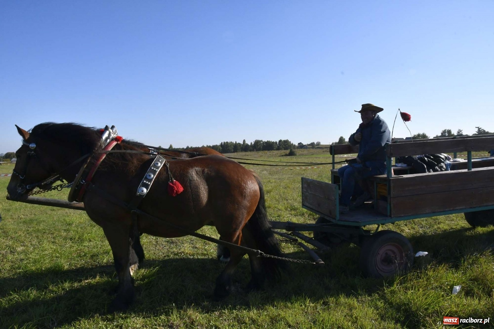 Zdjęcie w galerii na portalu naszraciborz.pl: Kornowacki piknik świętego Huberta [FOTO i WIDEO] wiadomości z regionu