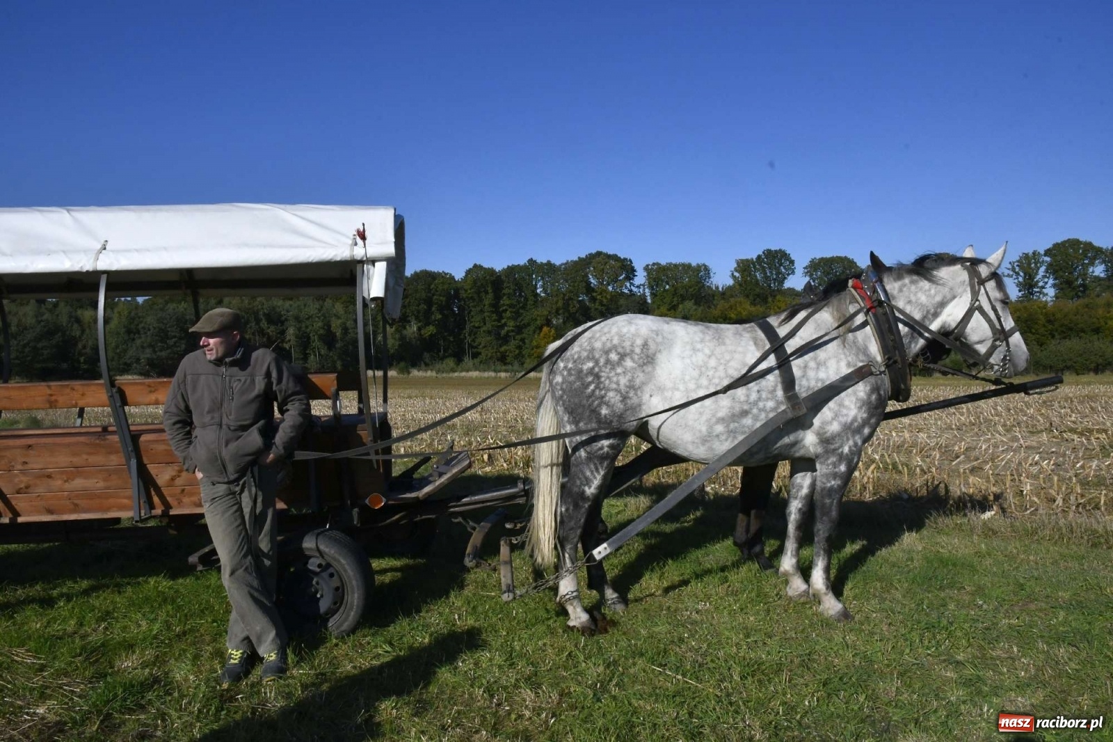 Zdjęcie w galerii na portalu naszraciborz.pl: Kornowacki piknik świętego Huberta [FOTO i WIDEO] wiadomości z regionu
