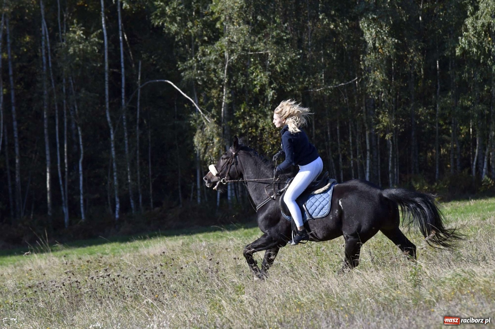 Zdjęcie w galerii na portalu naszraciborz.pl: Kornowacki piknik świętego Huberta [FOTO i WIDEO] wiadomości z regionu