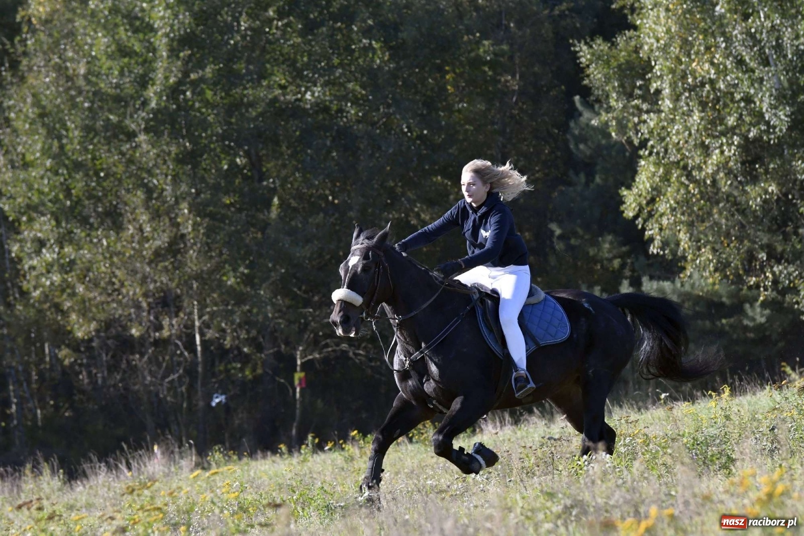 Zdjęcie w galerii na portalu naszraciborz.pl: Kornowacki piknik świętego Huberta [FOTO i WIDEO] wiadomości z regionu