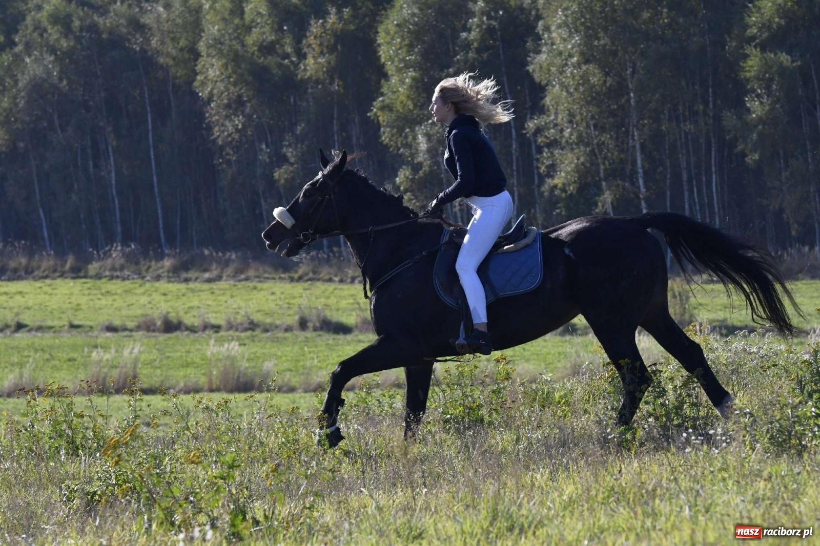 Zdjęcie w galerii na portalu naszraciborz.pl: Kornowacki piknik świętego Huberta [FOTO i WIDEO] wiadomości z regionu