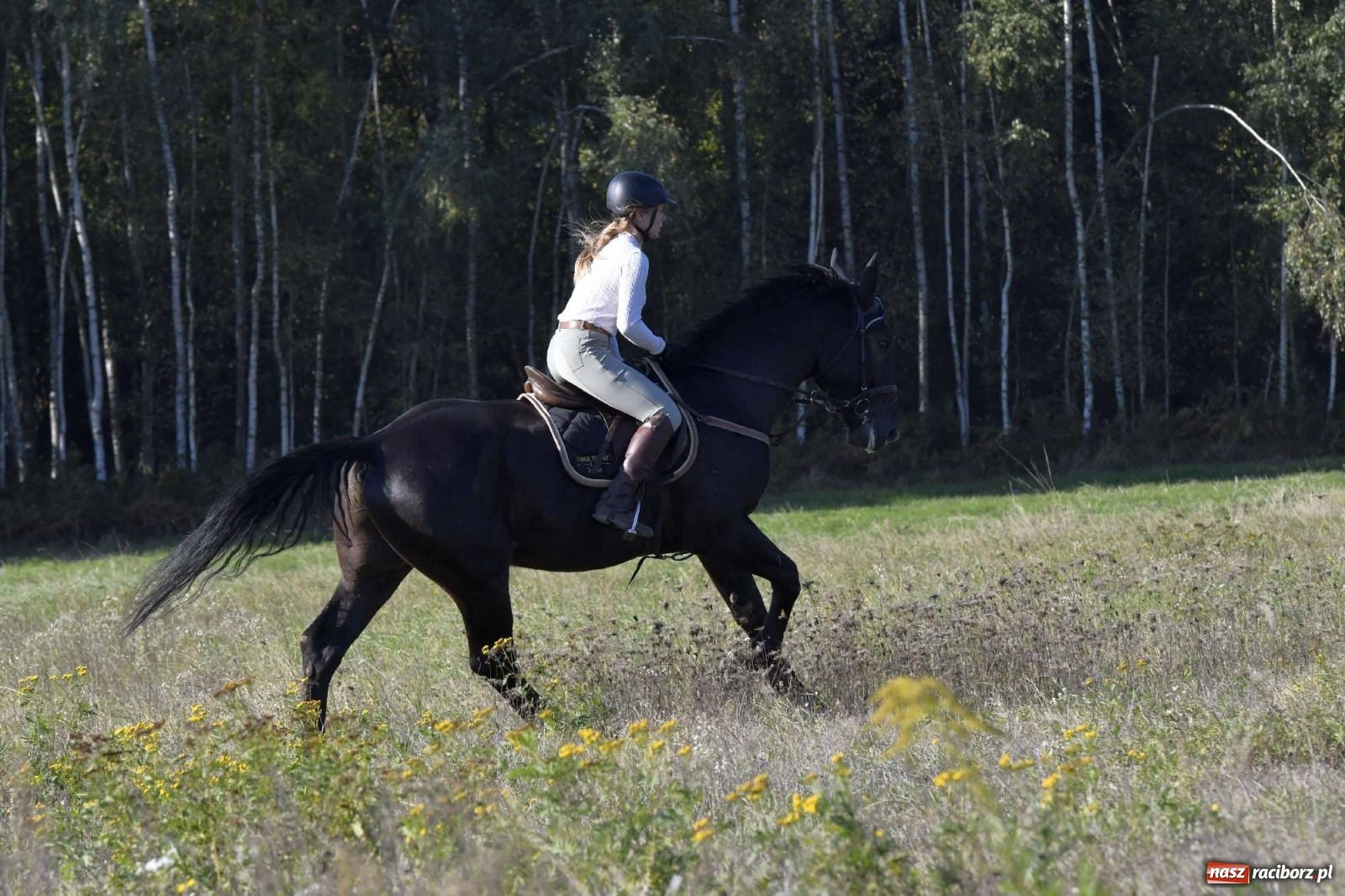 Zdjęcie w galerii na portalu naszraciborz.pl: Kornowacki piknik świętego Huberta [FOTO i WIDEO] wiadomości z regionu