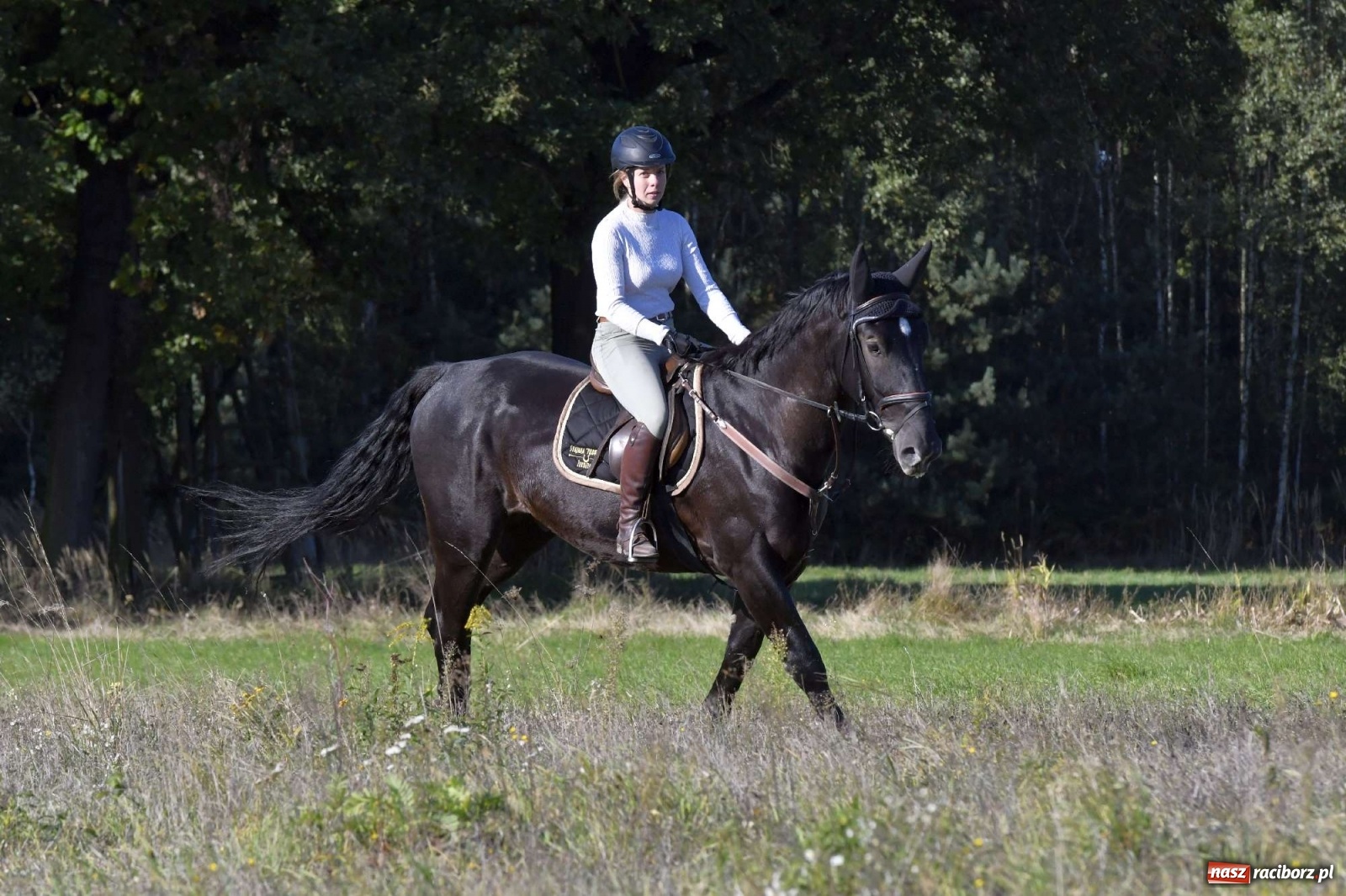 Zdjęcie w galerii na portalu naszraciborz.pl: Kornowacki piknik świętego Huberta [FOTO i WIDEO] wiadomości z regionu
