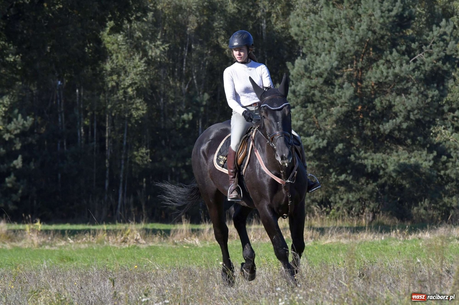 Zdjęcie w galerii na portalu naszraciborz.pl: Kornowacki piknik świętego Huberta [FOTO i WIDEO] wiadomości z regionu