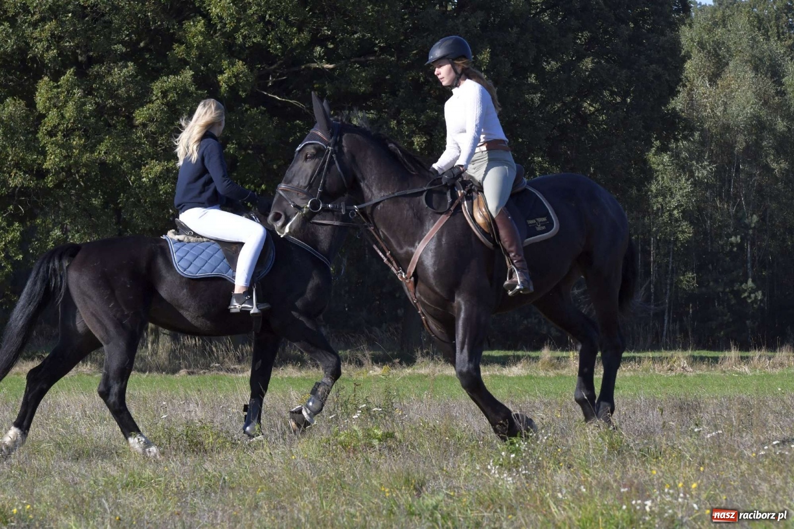 Zdjęcie w galerii na portalu naszraciborz.pl: Kornowacki piknik świętego Huberta [FOTO i WIDEO] wiadomości z regionu