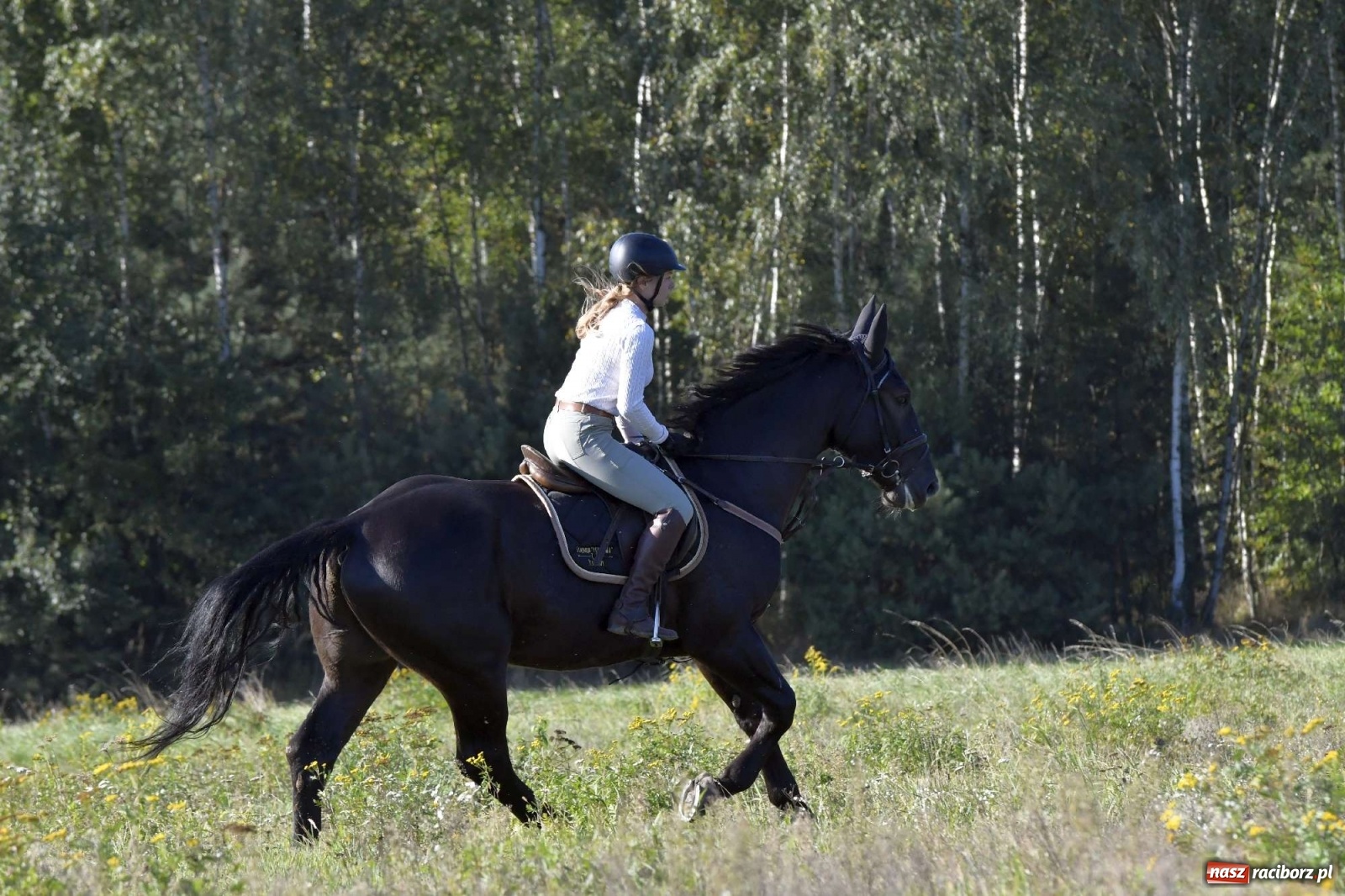 Zdjęcie w galerii na portalu naszraciborz.pl: Kornowacki piknik świętego Huberta [FOTO i WIDEO] wiadomości z regionu