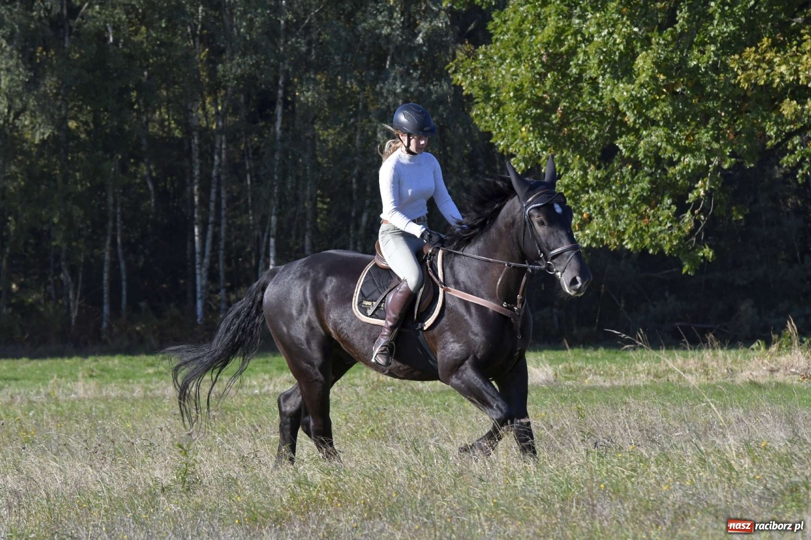 Zdjęcie w galerii na portalu naszraciborz.pl: Kornowacki piknik świętego Huberta [FOTO i WIDEO] wiadomości z regionu