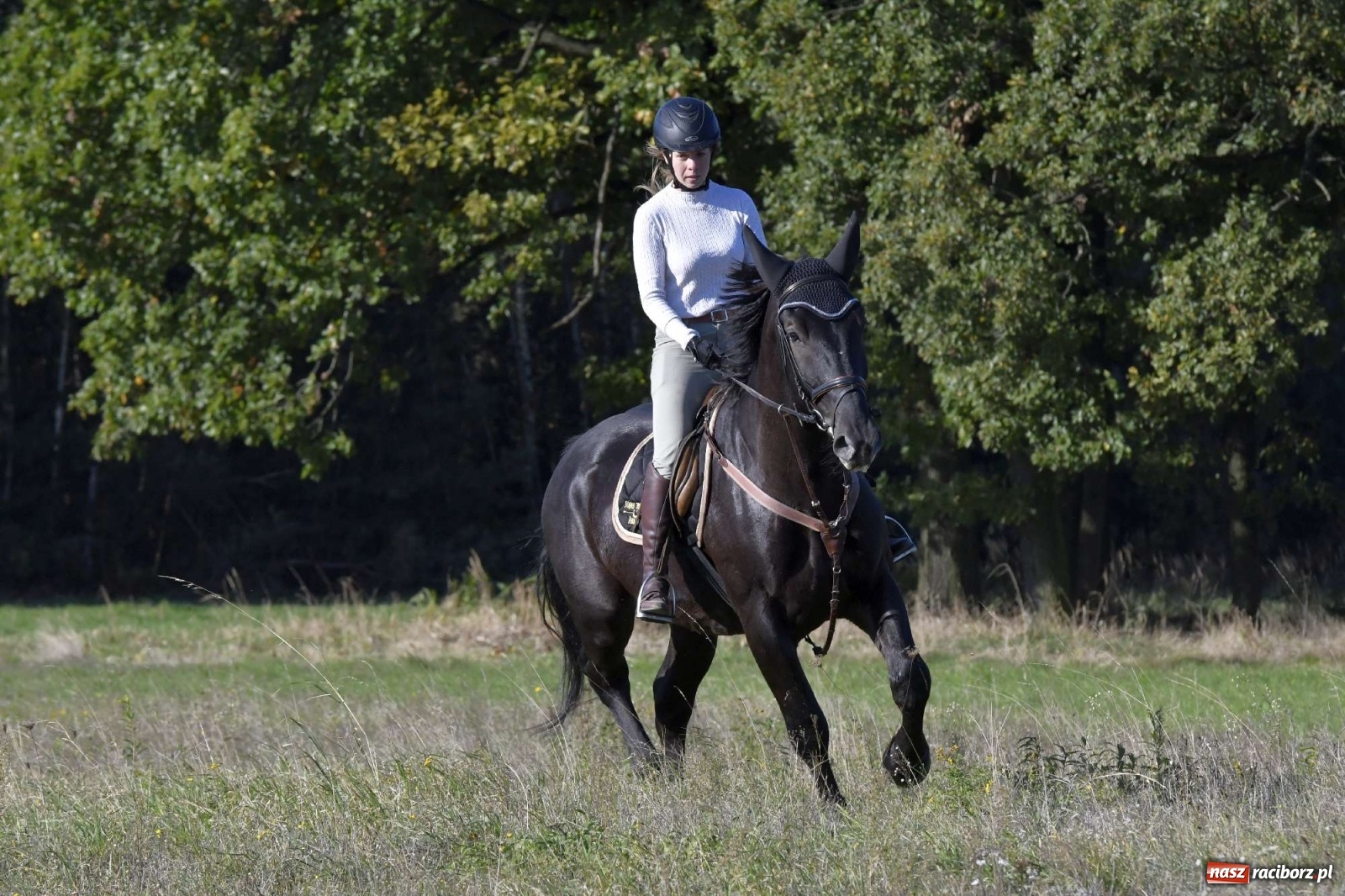 Zdjęcie w galerii na portalu naszraciborz.pl: Kornowacki piknik świętego Huberta [FOTO i WIDEO] wiadomości z regionu