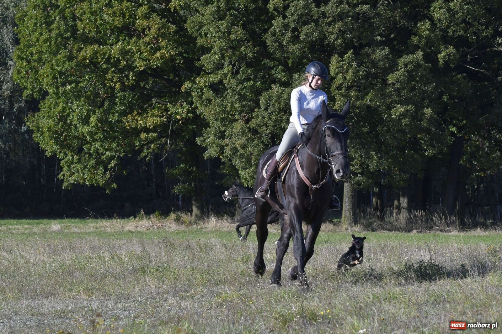 Zdjęcie w galerii na portalu naszraciborz.pl: Kornowacki piknik świętego Huberta [FOTO i WIDEO] wiadomości z regionu