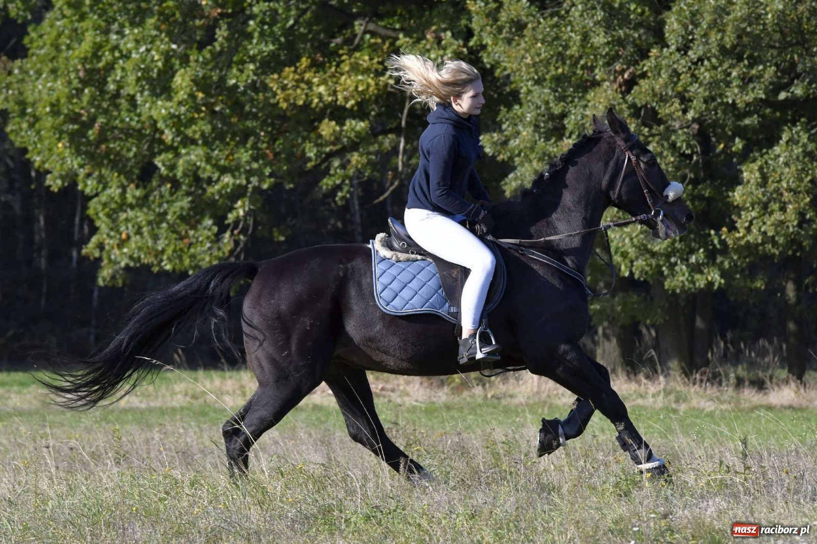 Zdjęcie w galerii na portalu naszraciborz.pl: Kornowacki piknik świętego Huberta [FOTO i WIDEO] wiadomości z regionu
