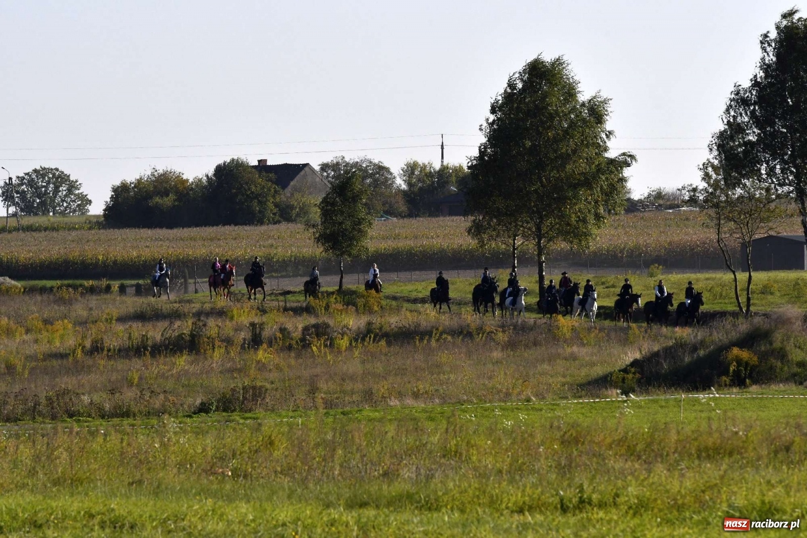 Zdjęcie w galerii na portalu naszraciborz.pl: Kornowacki piknik świętego Huberta [FOTO i WIDEO] wiadomości z regionu