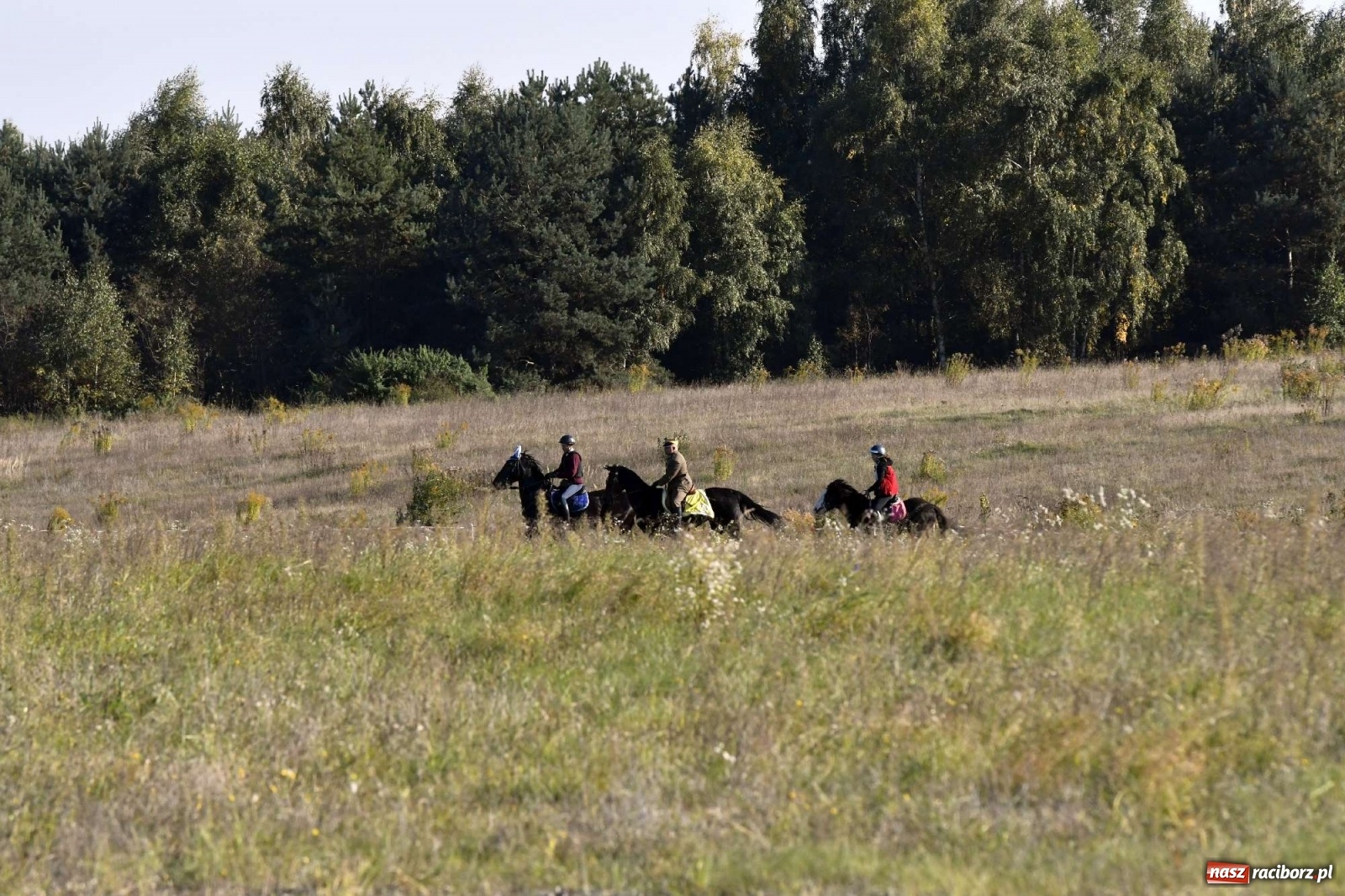 Zdjęcie w galerii na portalu naszraciborz.pl: Kornowacki piknik świętego Huberta [FOTO i WIDEO] wiadomości z regionu