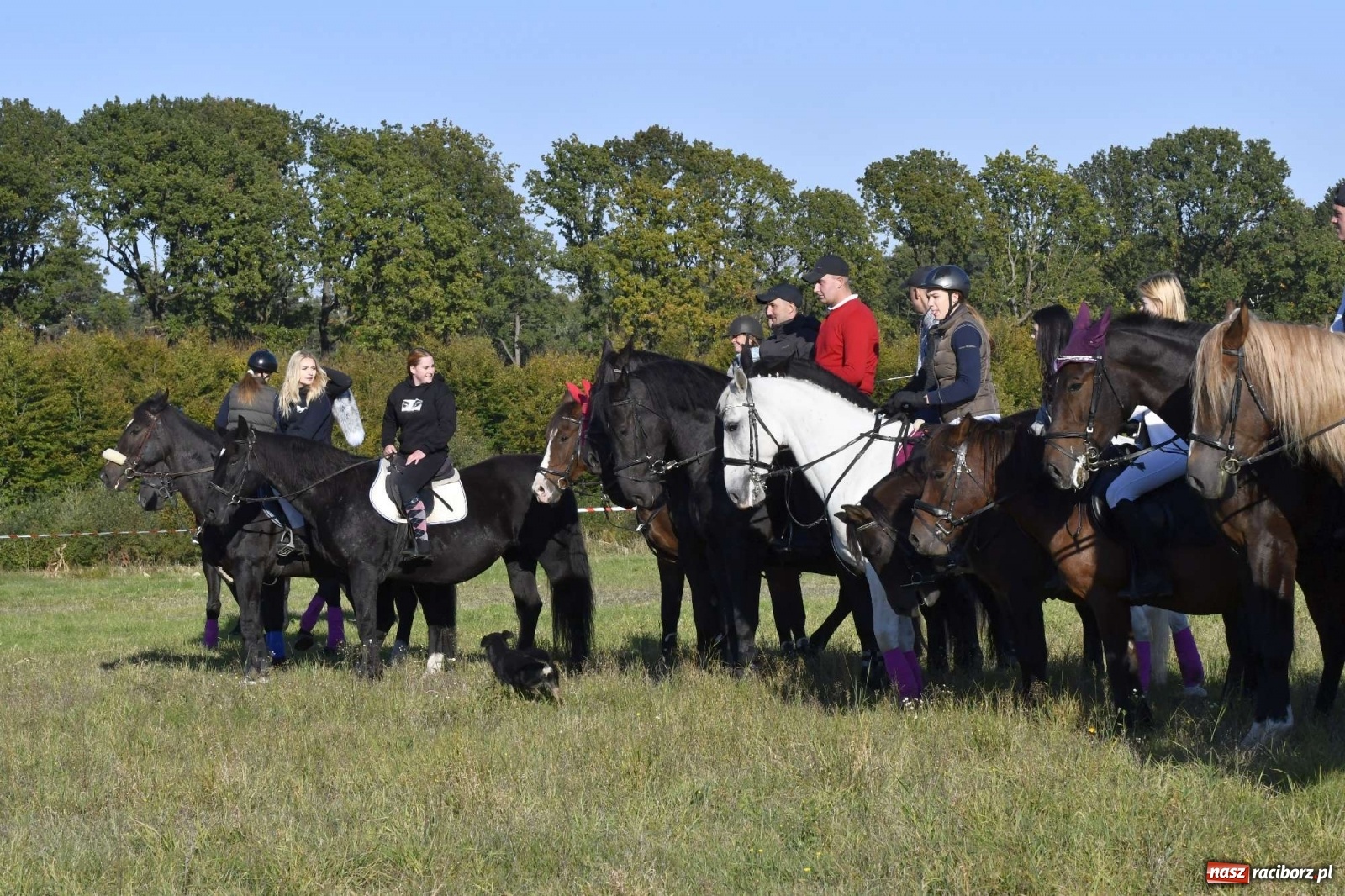 Zdjęcie w galerii na portalu naszraciborz.pl: Kornowacki piknik świętego Huberta [FOTO i WIDEO] wiadomości z regionu