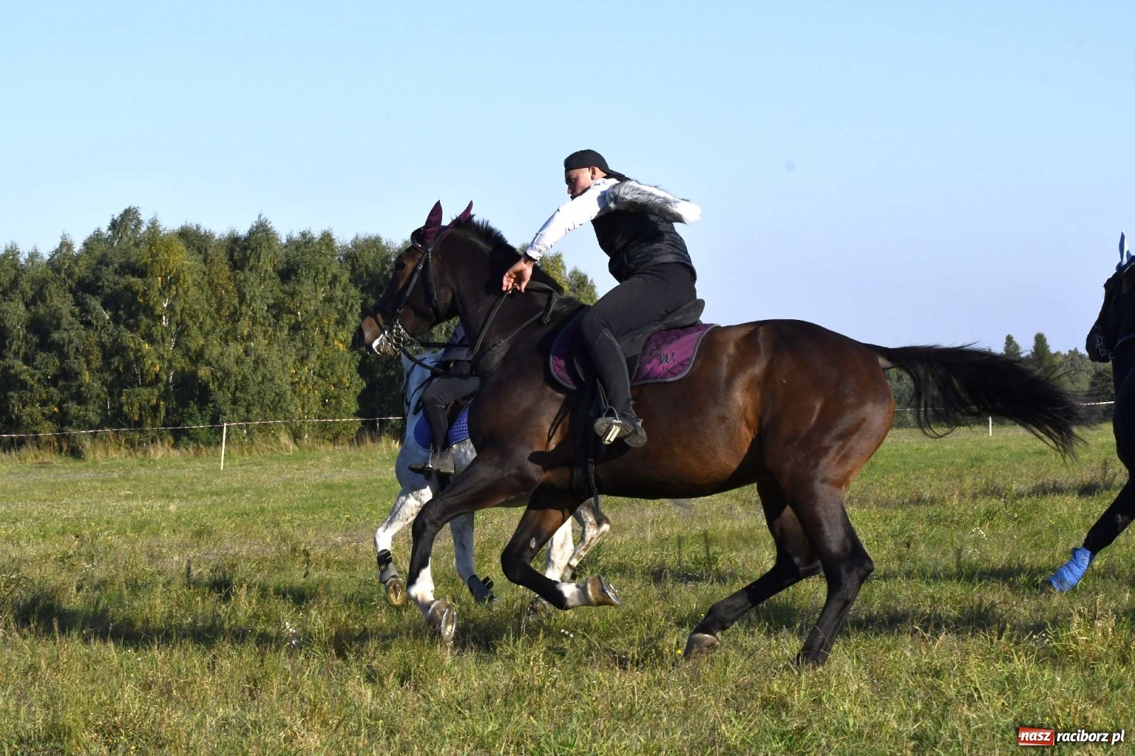 Zdjęcie w galerii na portalu naszraciborz.pl: Kornowacki piknik świętego Huberta [FOTO i WIDEO] wiadomości z regionu