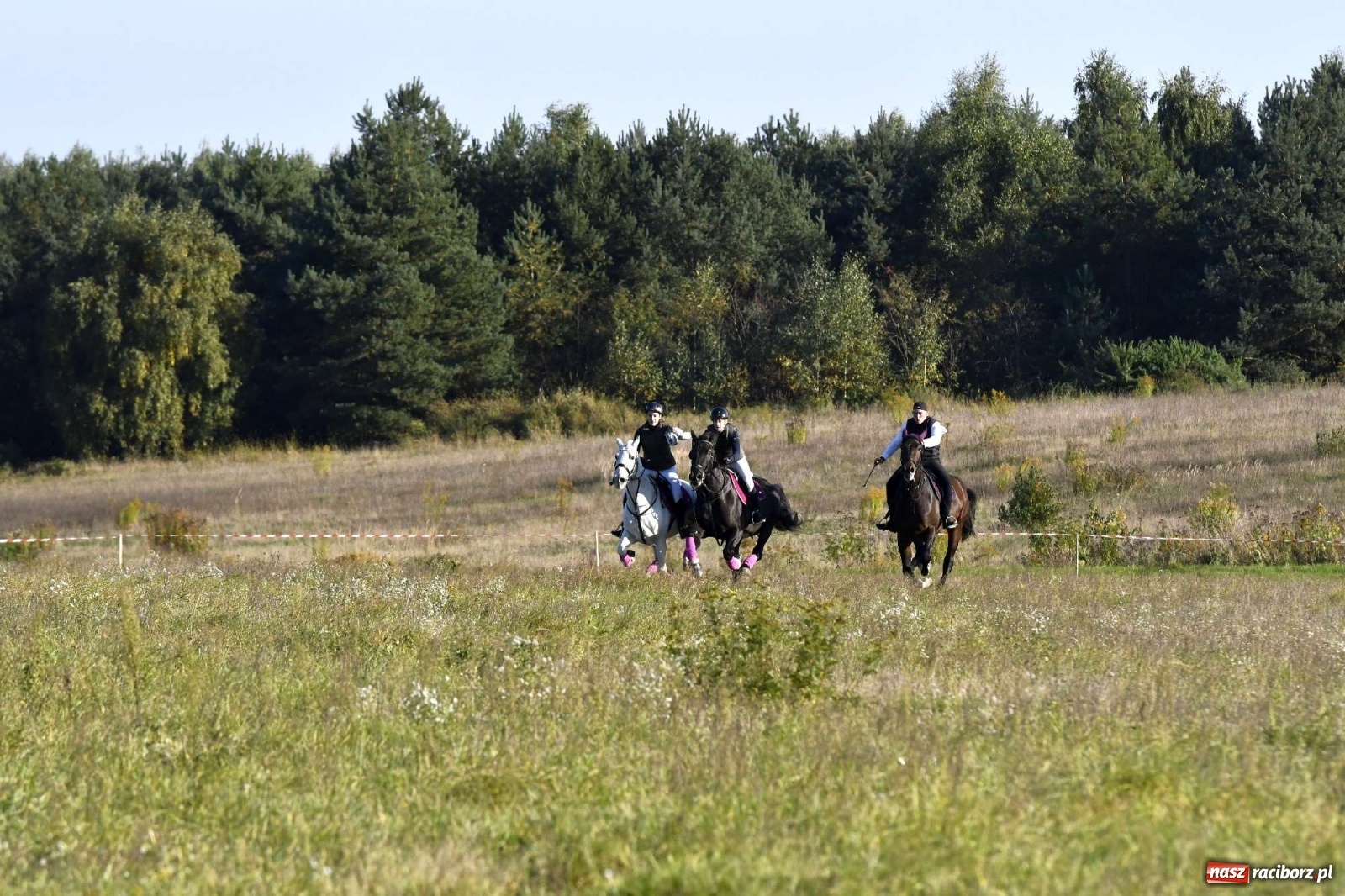 Zdjęcie w galerii na portalu naszraciborz.pl: Kornowacki piknik świętego Huberta [FOTO i WIDEO] wiadomości z regionu