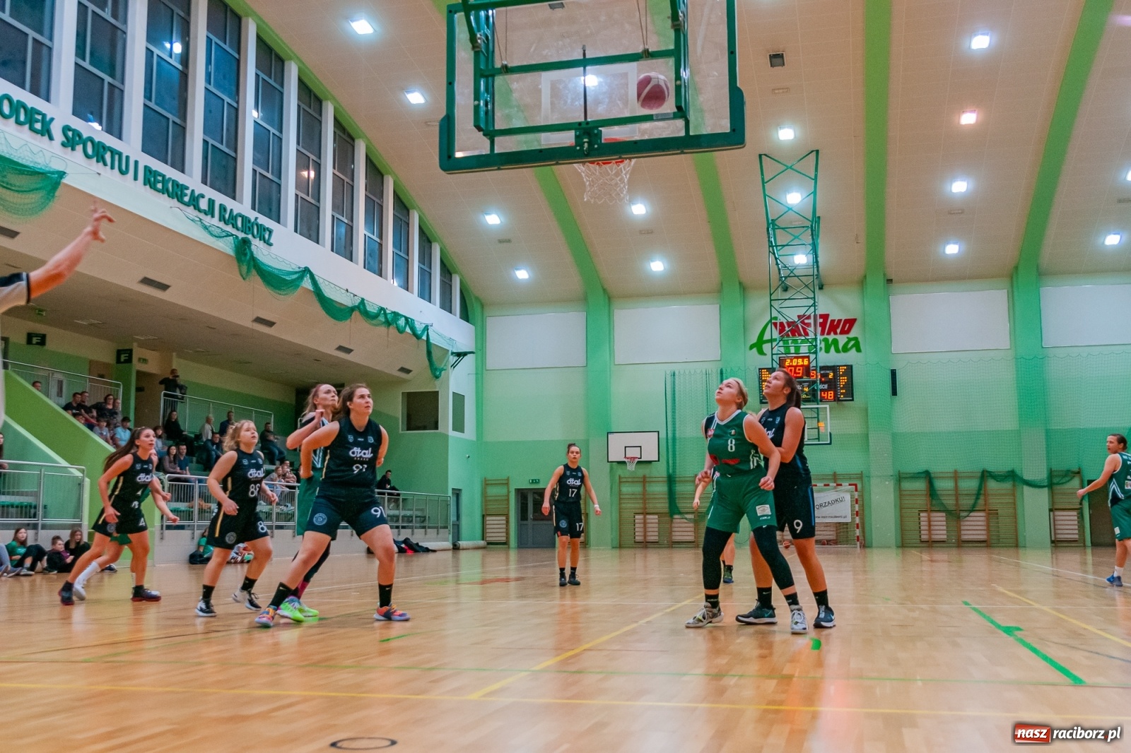 Zdjęcie w galerii na portalu naszraciborz.pl: RKK AZS brzeską Stal pokonał i na drugie miejsce awansował [FOTO] wiadomości z regionu