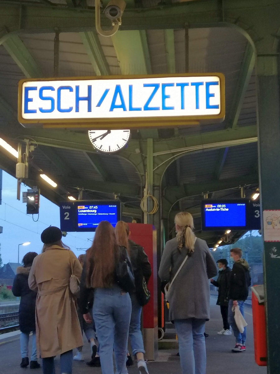 Zdjęcie w galerii na portalu naszraciborz.pl: Młodzież z Kasprowicza w luksemburskiej Ecole de Gestion et de Commerce wiadomości z regionu