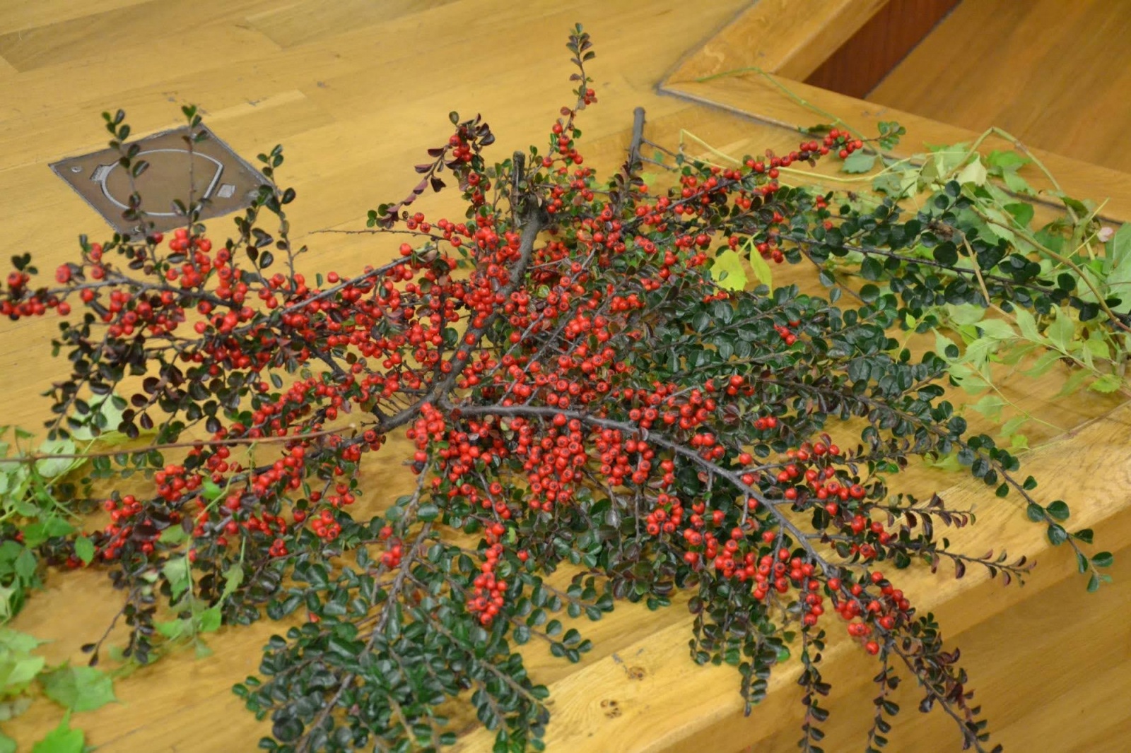 Zdjęcie w galerii na portalu naszraciborz.pl: Błyskawicznie o... życiu. Dwie nowe książki Zbigniewa Woźniaka wiadomości z regionu