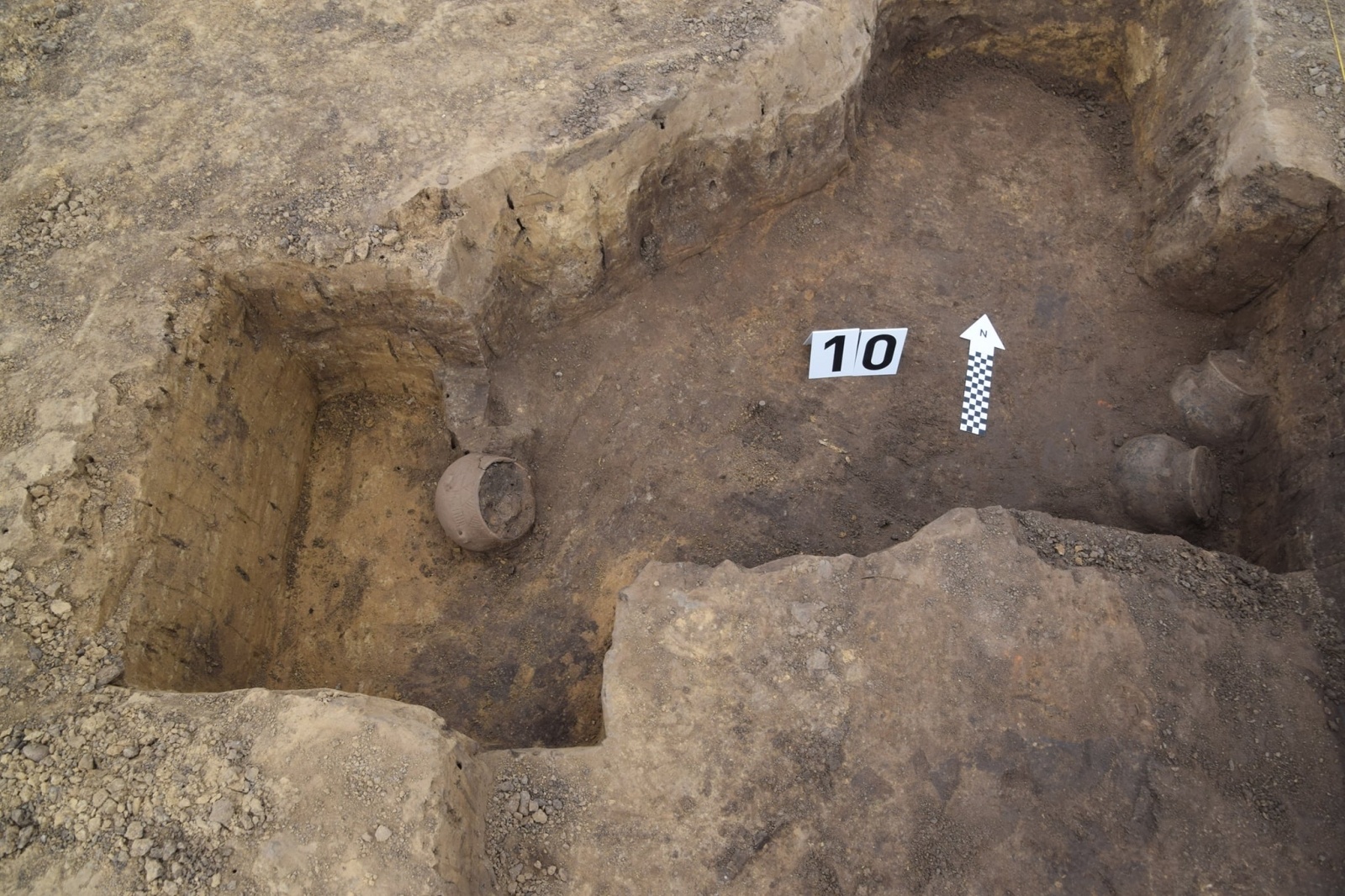 Zdjęcie w galerii na portalu naszraciborz.pl: Podczas wykopalisk na Starej Wsi odkryto amfory wiadomości z regionu