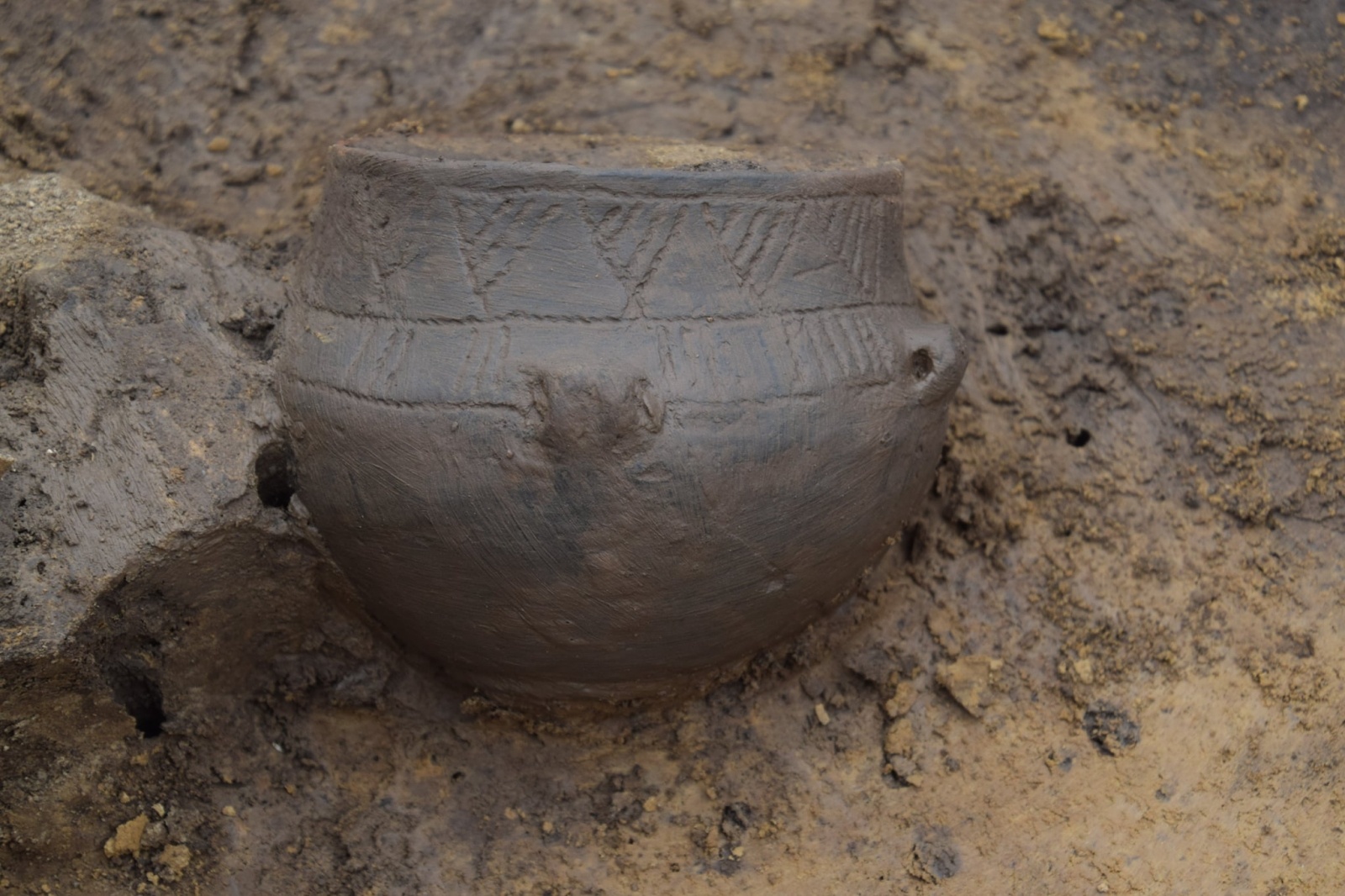 Zdjęcie w galerii na portalu naszraciborz.pl: Podczas wykopalisk na Starej Wsi odkryto amfory wiadomości z regionu