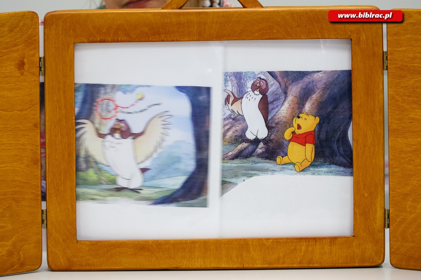 Zdjęcie w galerii na portalu naszraciborz.pl: Stumilowy Las wyrósł w bibliotece. Za nami Urodziny Kubusia Puchatka wiadomości z regionu