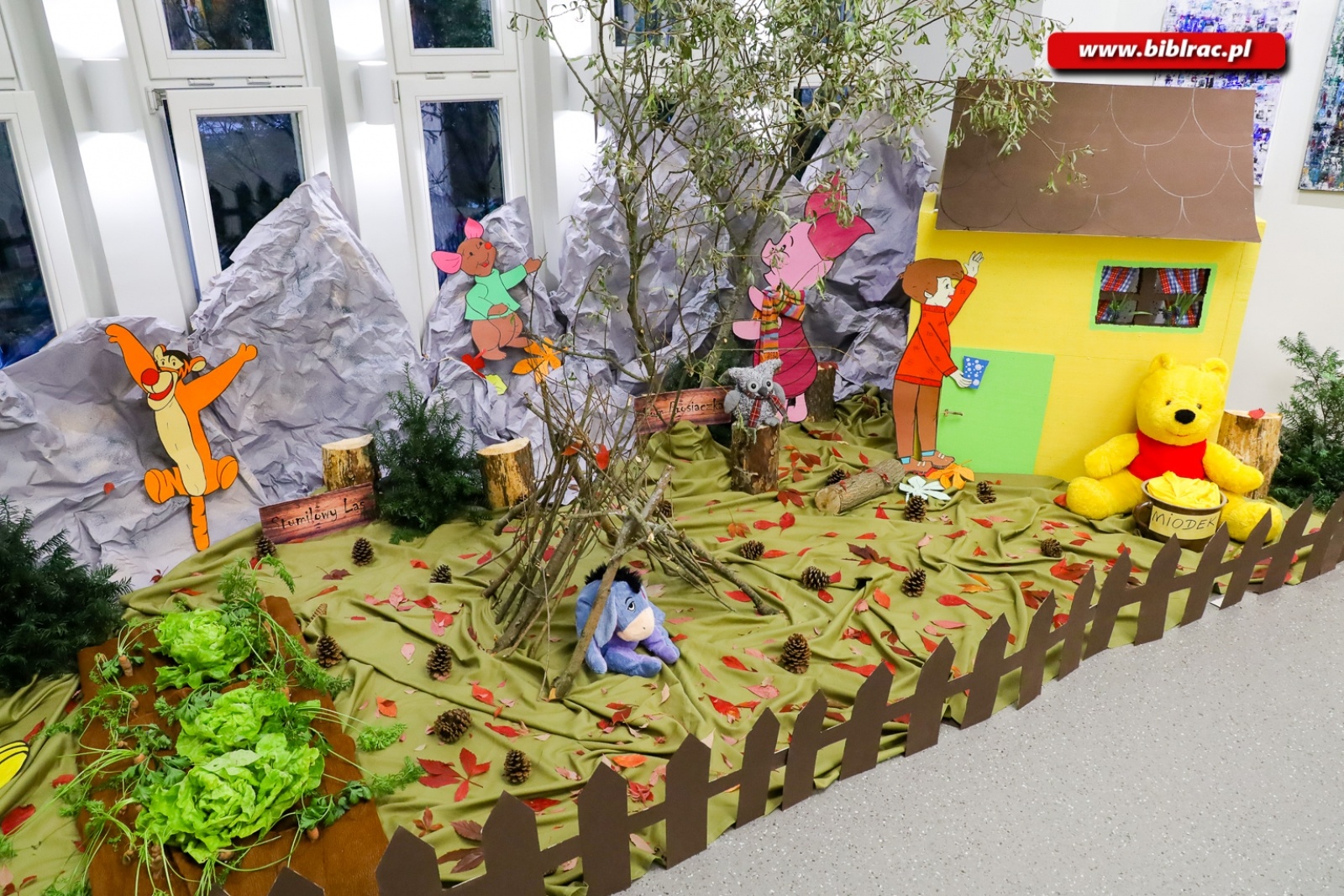 Zdjęcie w galerii na portalu naszraciborz.pl: Stumilowy Las wyrósł w bibliotece. Za nami Urodziny Kubusia Puchatka wiadomości z regionu