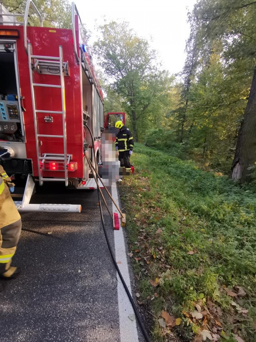 Zdjęcie w galerii na portalu naszraciborz.pl: DK 45 Racibórz-Opole. Zderzenie osobówki z ciężarówką w lasku raciborskim  wiadomości z regionu