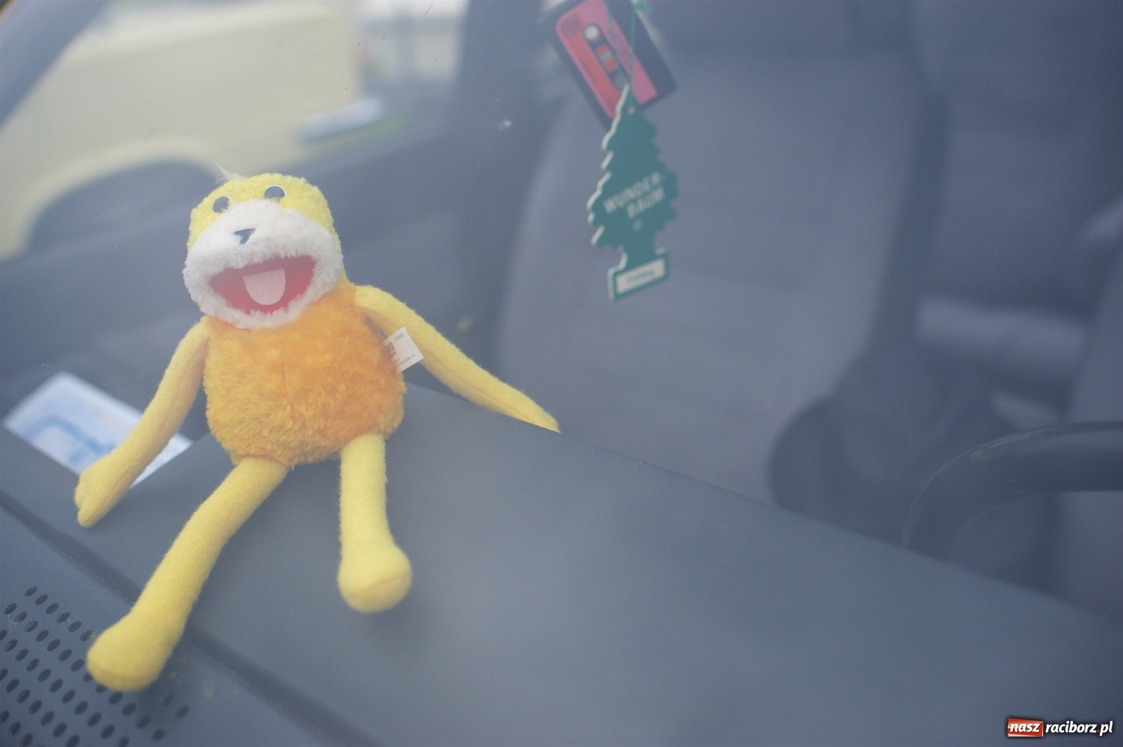 Zdjęcie w galerii na portalu naszraciborz.pl: Amerykański krążownik szos na zlocie w Zabełkowie [FOTO i WIDEO] wiadomości z regionu