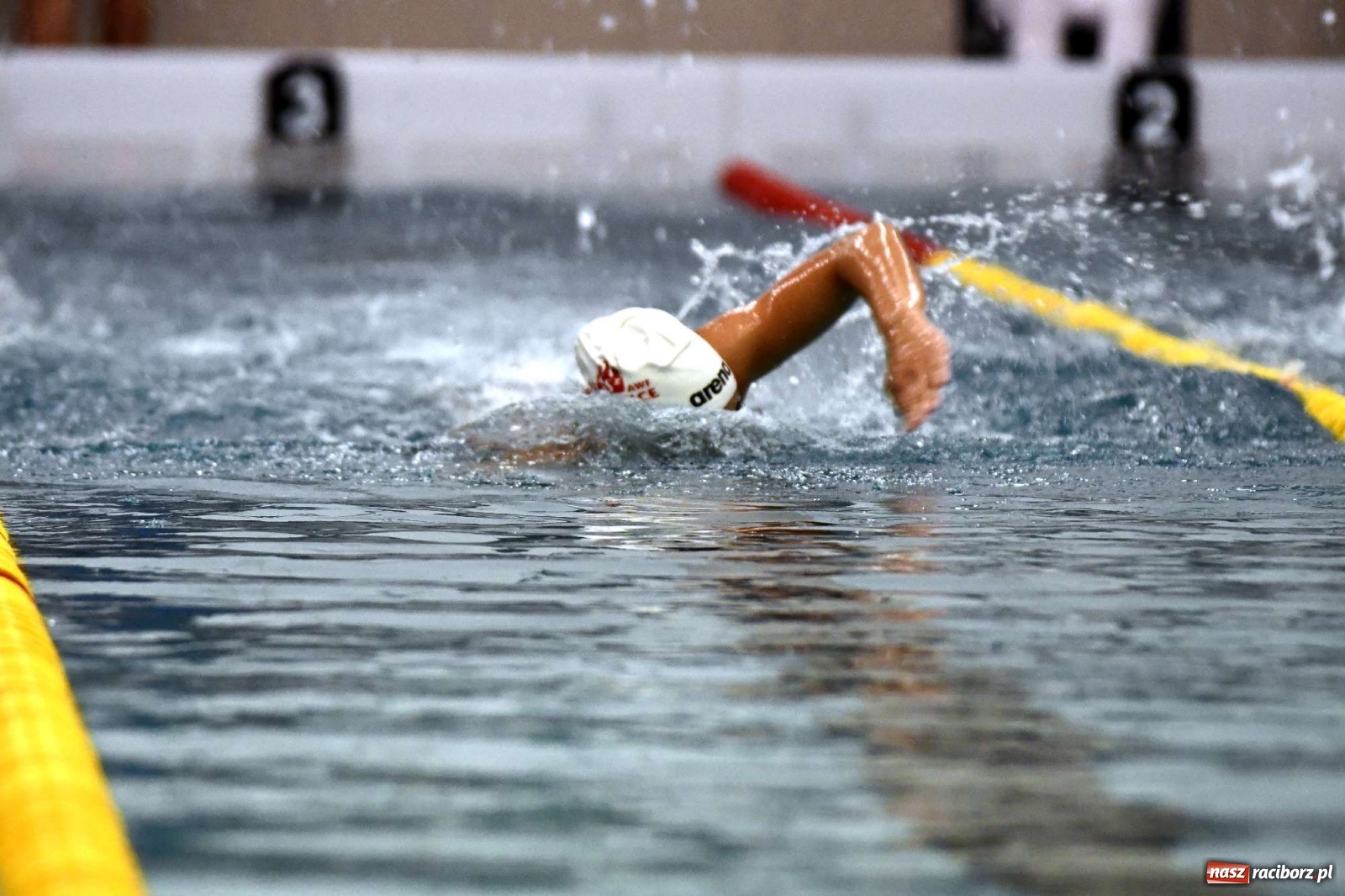 Zdjęcie w galerii na portalu naszraciborz.pl: Pływackie sprinty na pływalni ZSOMS [FOTO i WIDEO] wiadomości z regionu