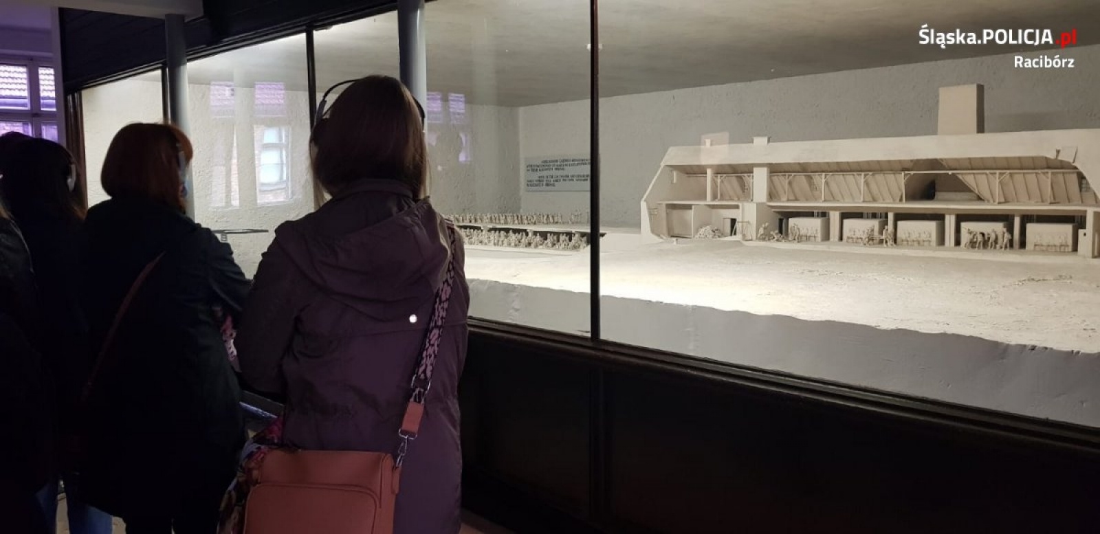 Zdjęcie w galerii na portalu naszraciborz.pl: Raciborscy policjanci i uczniowie przeciw mowie nienawiści wiadomości z regionu