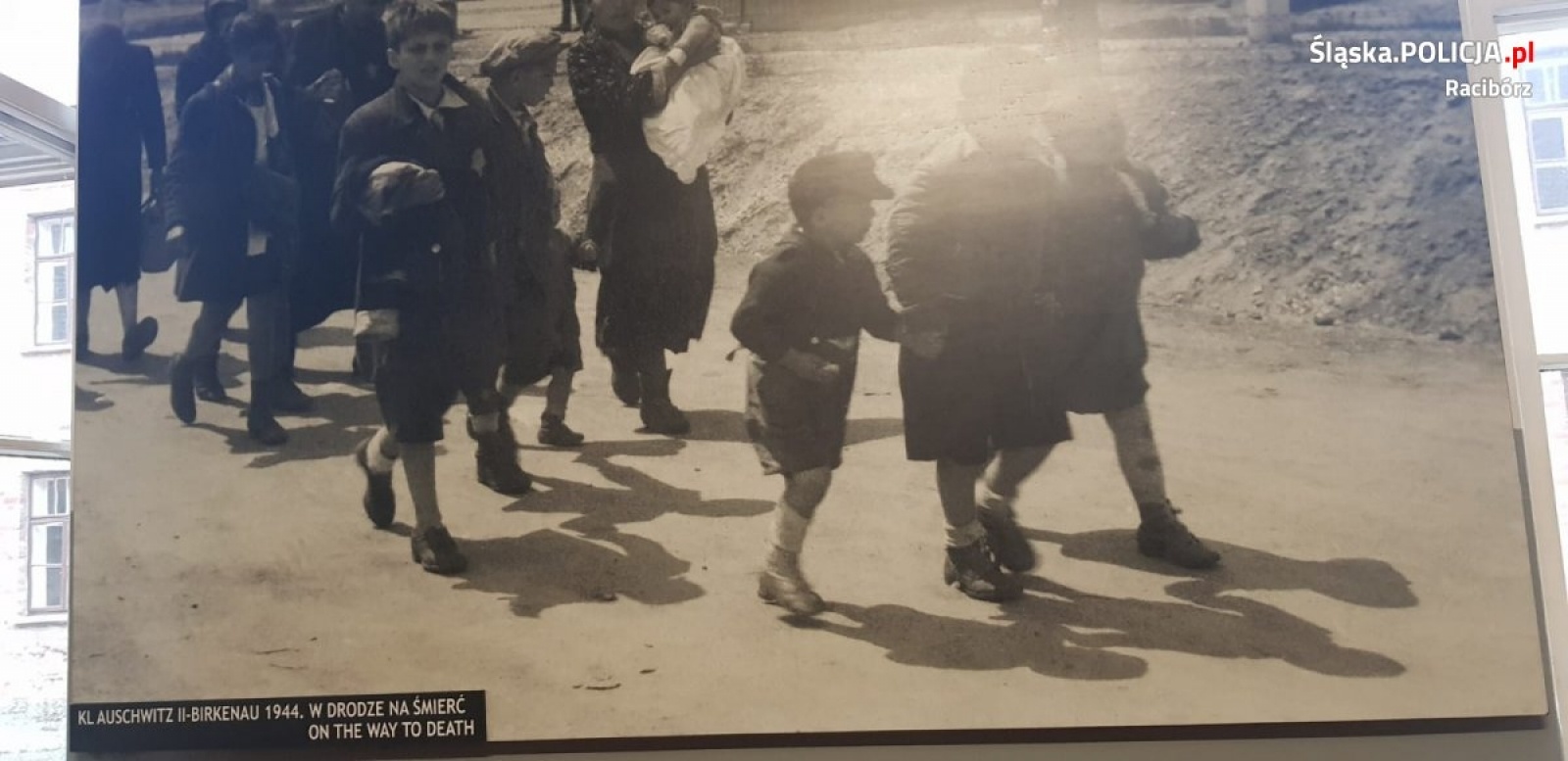 Zdjęcie w galerii na portalu naszraciborz.pl: Raciborscy policjanci i uczniowie przeciw mowie nienawiści wiadomości z regionu