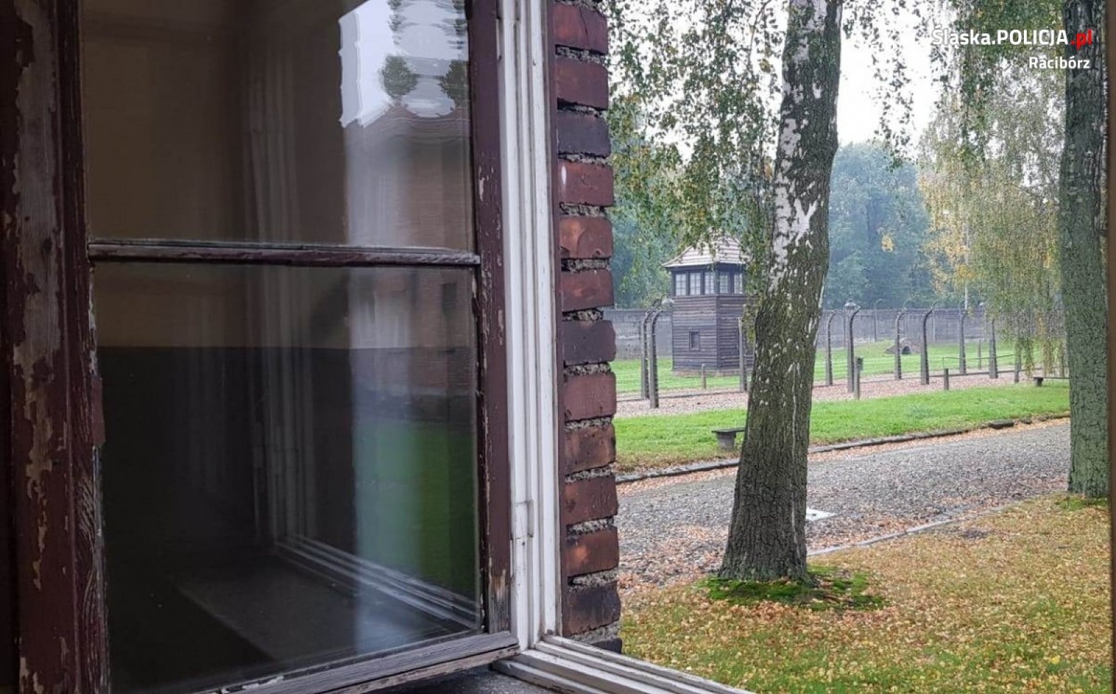 Zdjęcie w galerii na portalu naszraciborz.pl: Raciborscy policjanci i uczniowie przeciw mowie nienawiści wiadomości z regionu