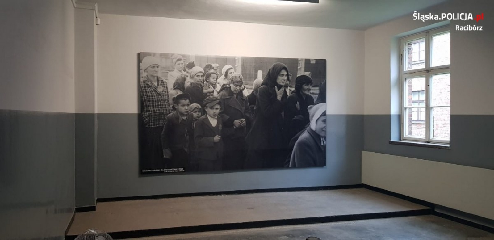 Zdjęcie w galerii na portalu naszraciborz.pl: Raciborscy policjanci i uczniowie przeciw mowie nienawiści wiadomości z regionu