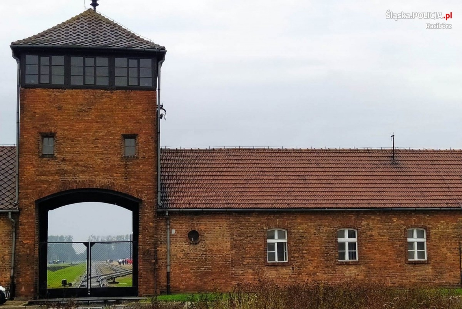 Zdjęcie w galerii na portalu naszraciborz.pl: Raciborscy policjanci i uczniowie przeciw mowie nienawiści wiadomości z regionu