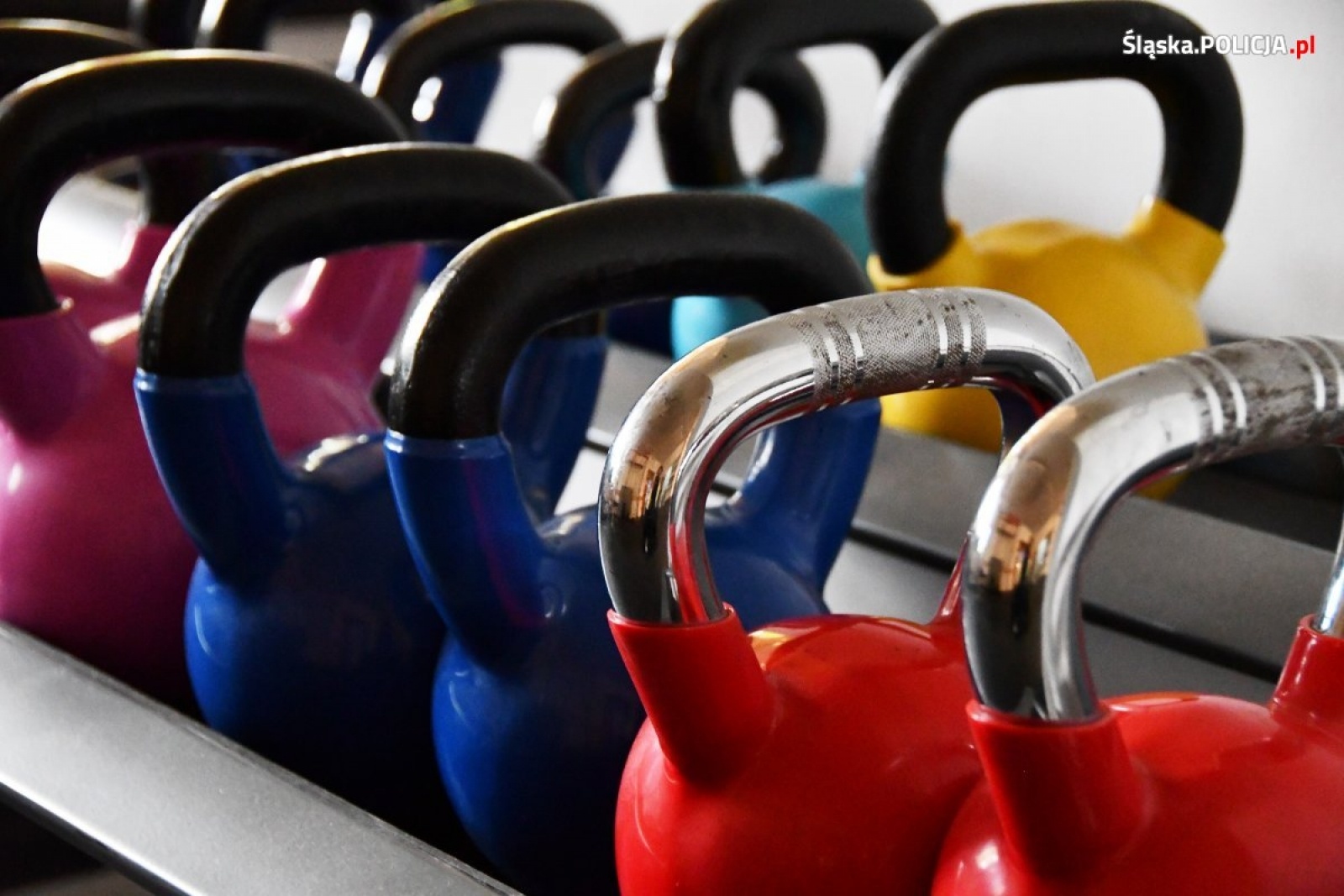 Zdjęcie w galerii na portalu naszraciborz.pl: Instruktorzy technik i taktyki interwencji przeszli szkolenie wiadomości z regionu