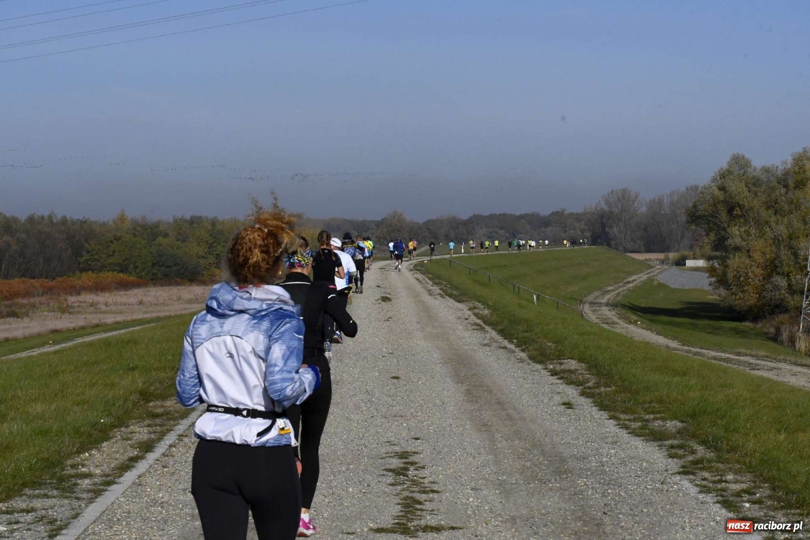 Zdjęcie w galerii na portalu naszraciborz.pl: Półmaraton po wałach - od Bukowa do Raciborza [FOTO i WIDEO] wiadomości z regionu