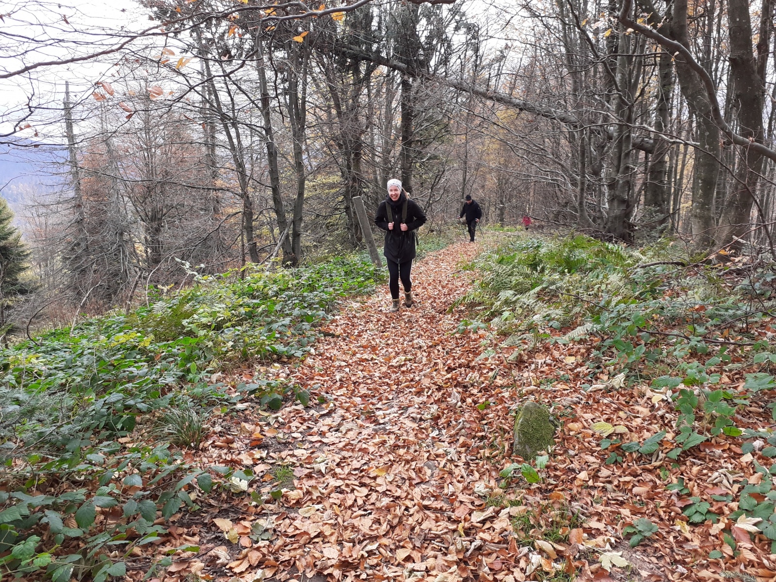 Zdjęcie w galerii na portalu naszraciborz.pl: Jesień w Bieszczadach. Raciborzanie na górskich szlakach wiadomości z regionu