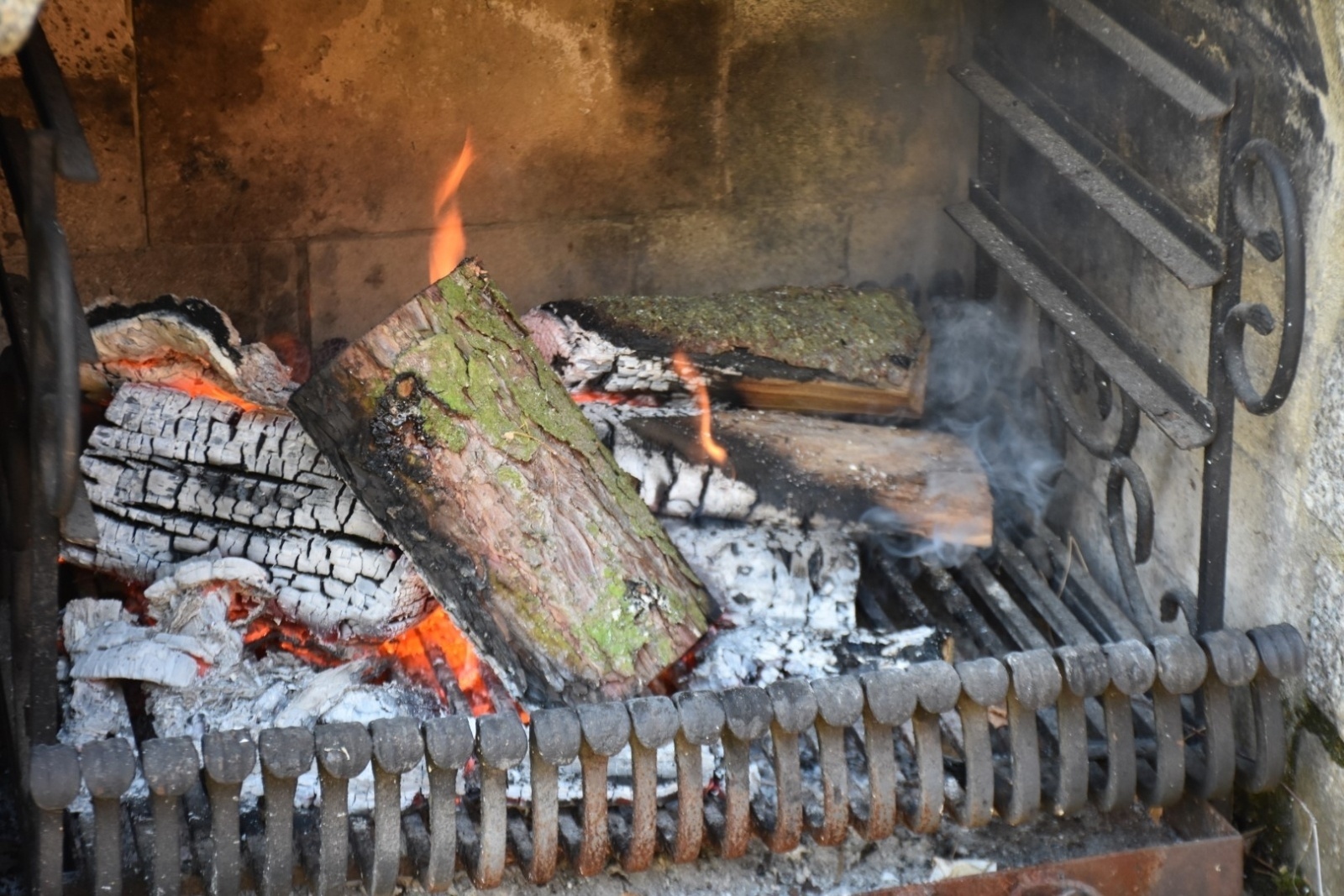 Zdjęcie w galerii na portalu naszraciborz.pl: Dziczyzna z Remigiuszem Rączką w bieńkowickiej leśniczówce wiadomości z regionu