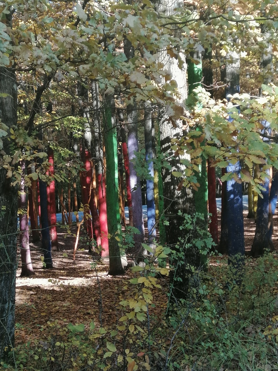 Zdjęcie w galerii na portalu naszraciborz.pl: Uczniowie I LO podróżowali do Rumunii [FOTO] wiadomości z regionu