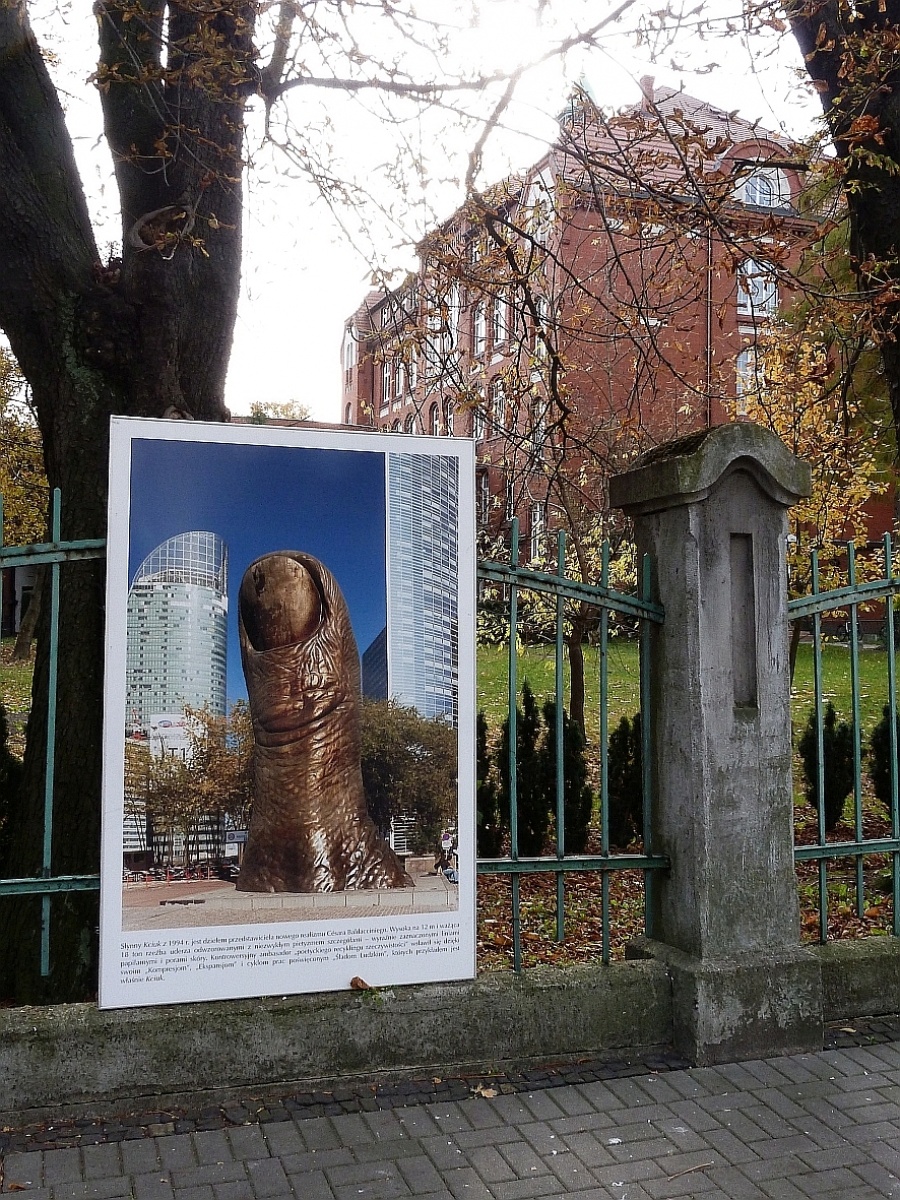 Zdjęcie w galerii na portalu naszraciborz.pl: Wystawa na płocie! - nowoczesny Paryż w ZSO nr 1 w Raciborzu wiadomości z regionu