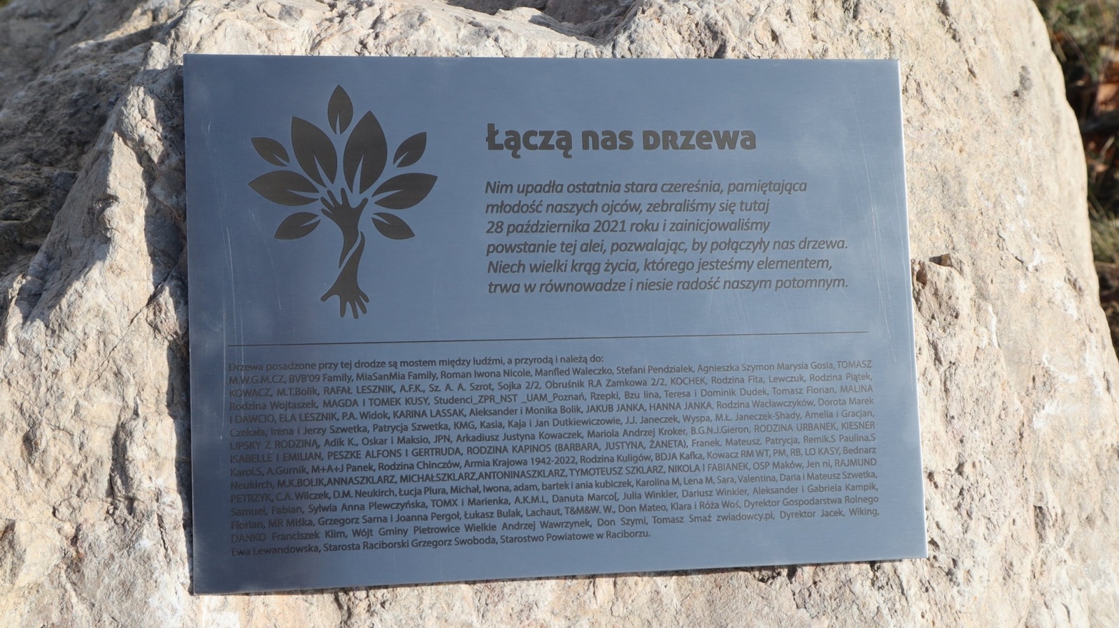 Zdjęcie w galerii na portalu naszraciborz.pl: Na Turmasach ruszył program czereśniowy radnego Bolika. Wandale nie kazali na siebie długo czekać! wiadomości z regionu