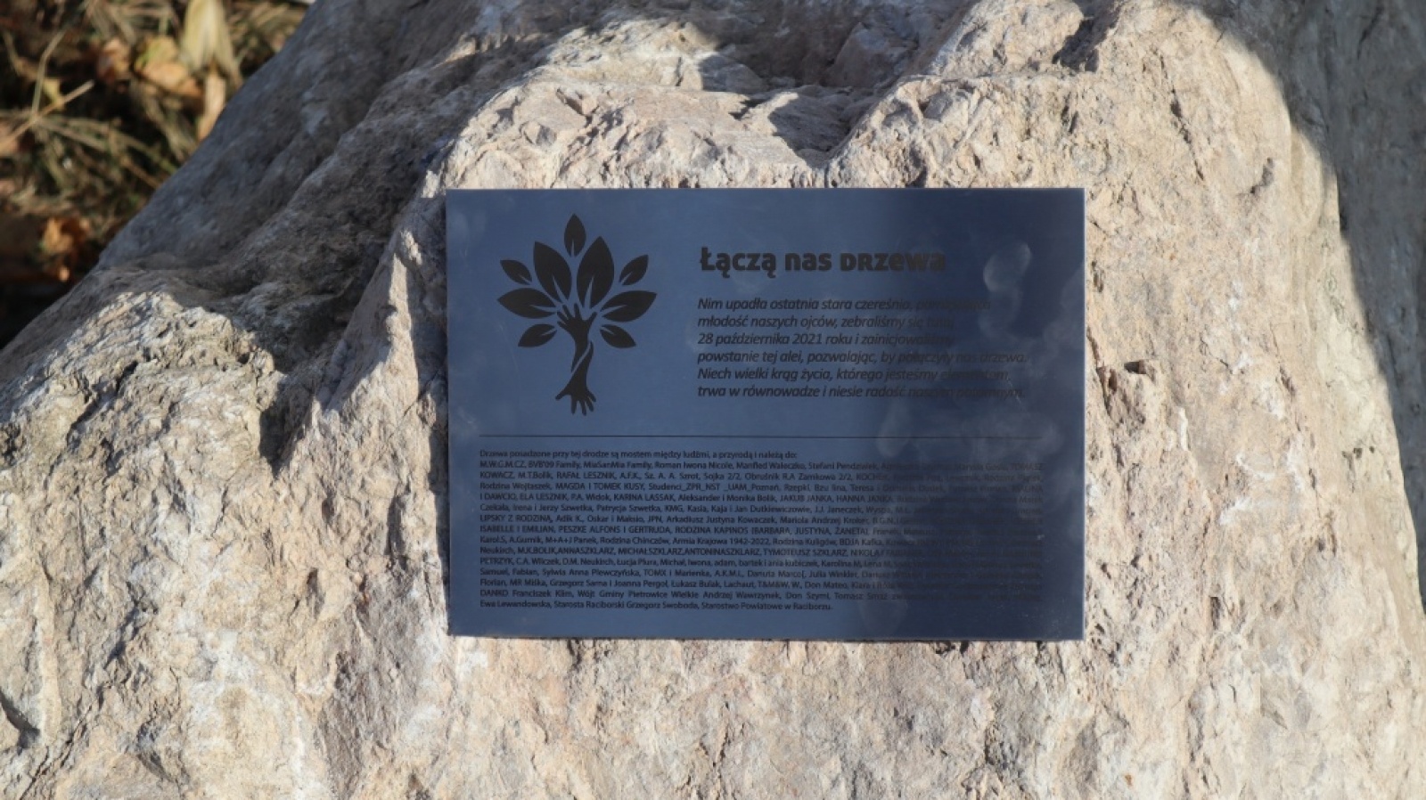 Zdjęcie w galerii na portalu naszraciborz.pl: Powiat włącza się w kolejną akcję sadzenia drzew wiadomości z regionu