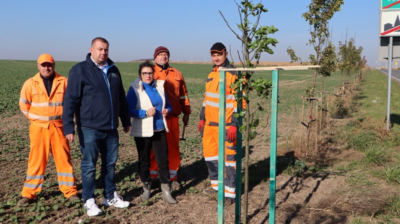 Zdjęcie w galerii na portalu naszraciborz.pl: Powiat włącza się w kolejną akcję sadzenia drzew wiadomości z regionu