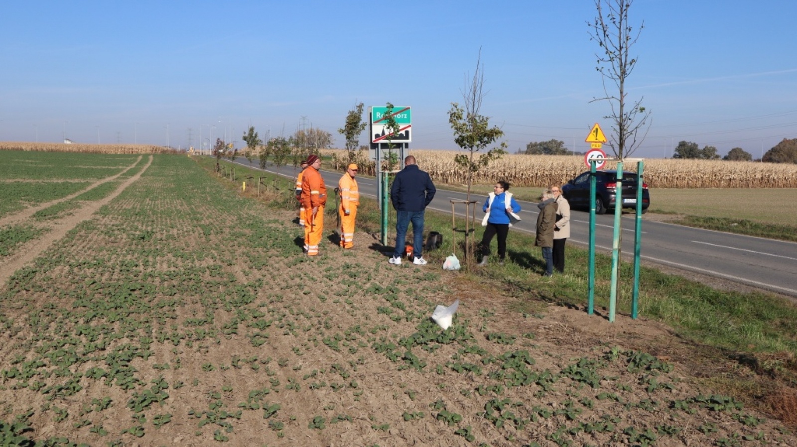 Zdjęcie w galerii na portalu naszraciborz.pl: Powiat włącza się w kolejną akcję sadzenia drzew wiadomości z regionu