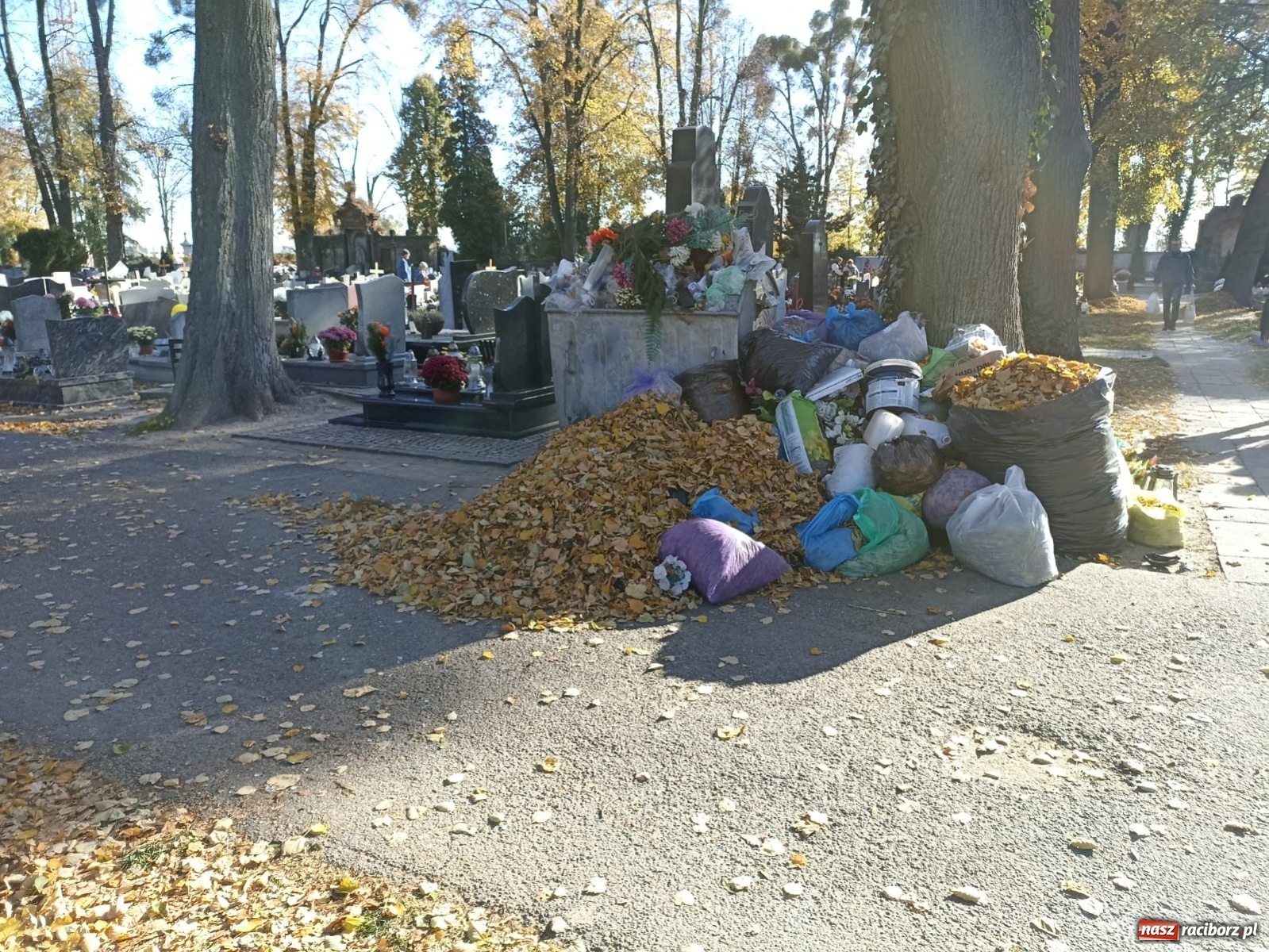 Zdjęcie w galerii na portalu naszraciborz.pl: Tony odpadów na Jeruzalem. Co się dzieje? wiadomości z regionu