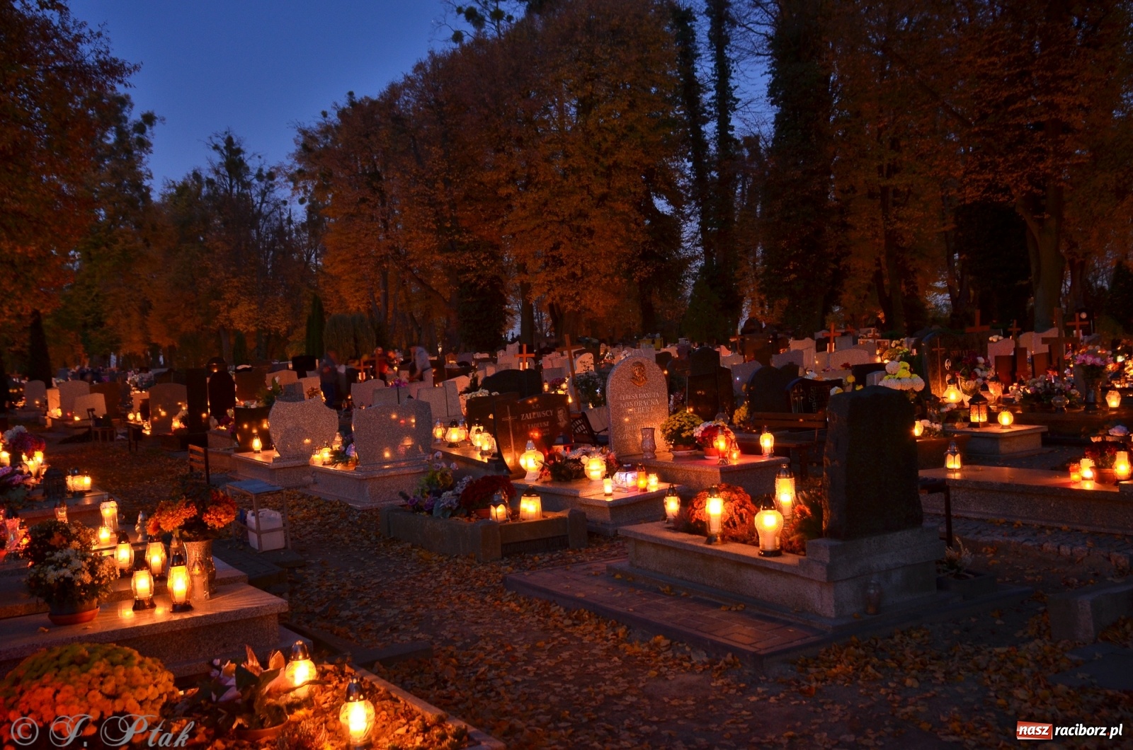 Zdjęcie w galerii na portalu naszraciborz.pl: Jeruzalem w wigilię Wszystkich Świętych. 1 listopada Ocicka przy cmentarzu będzie zamknięta wiadomości z regionu